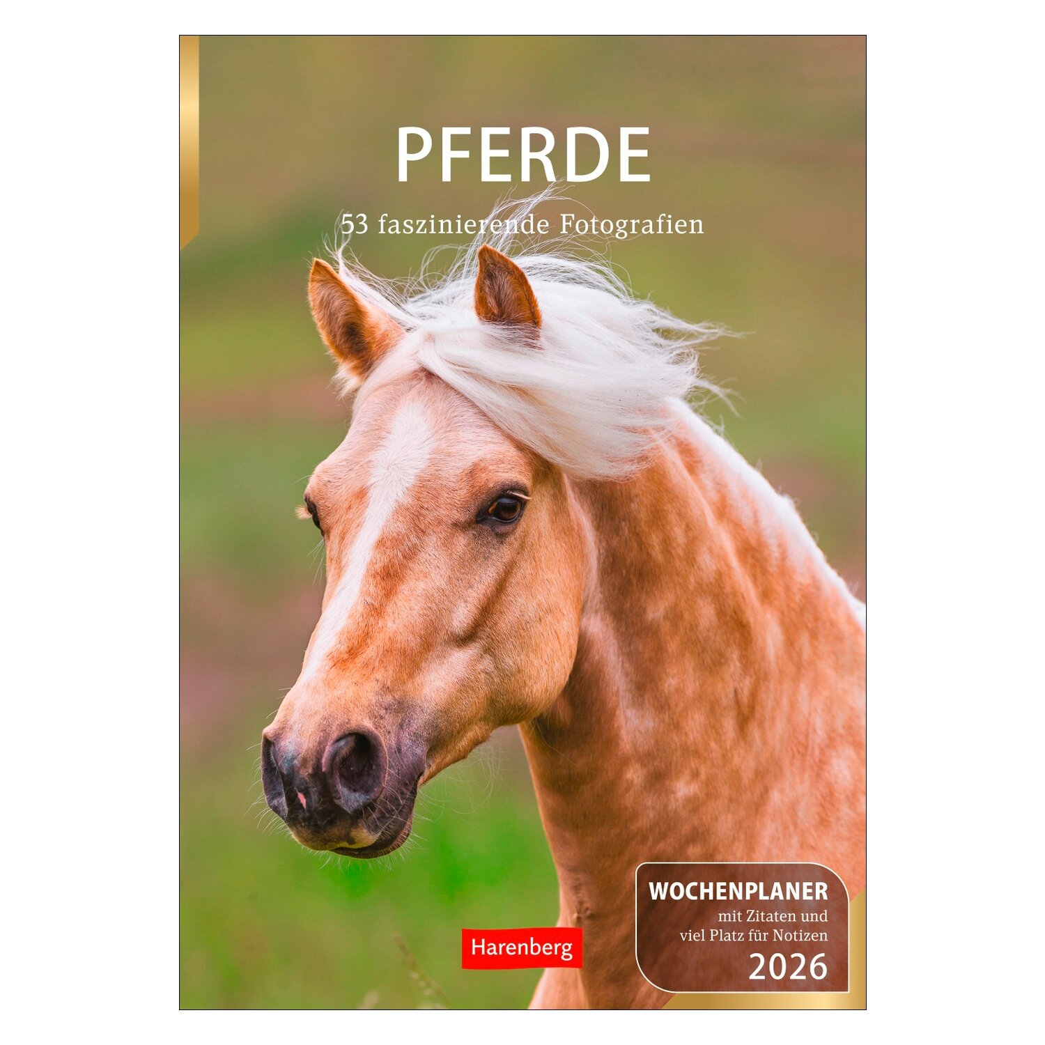 Wochenplaner Pferde – Ansicht 1