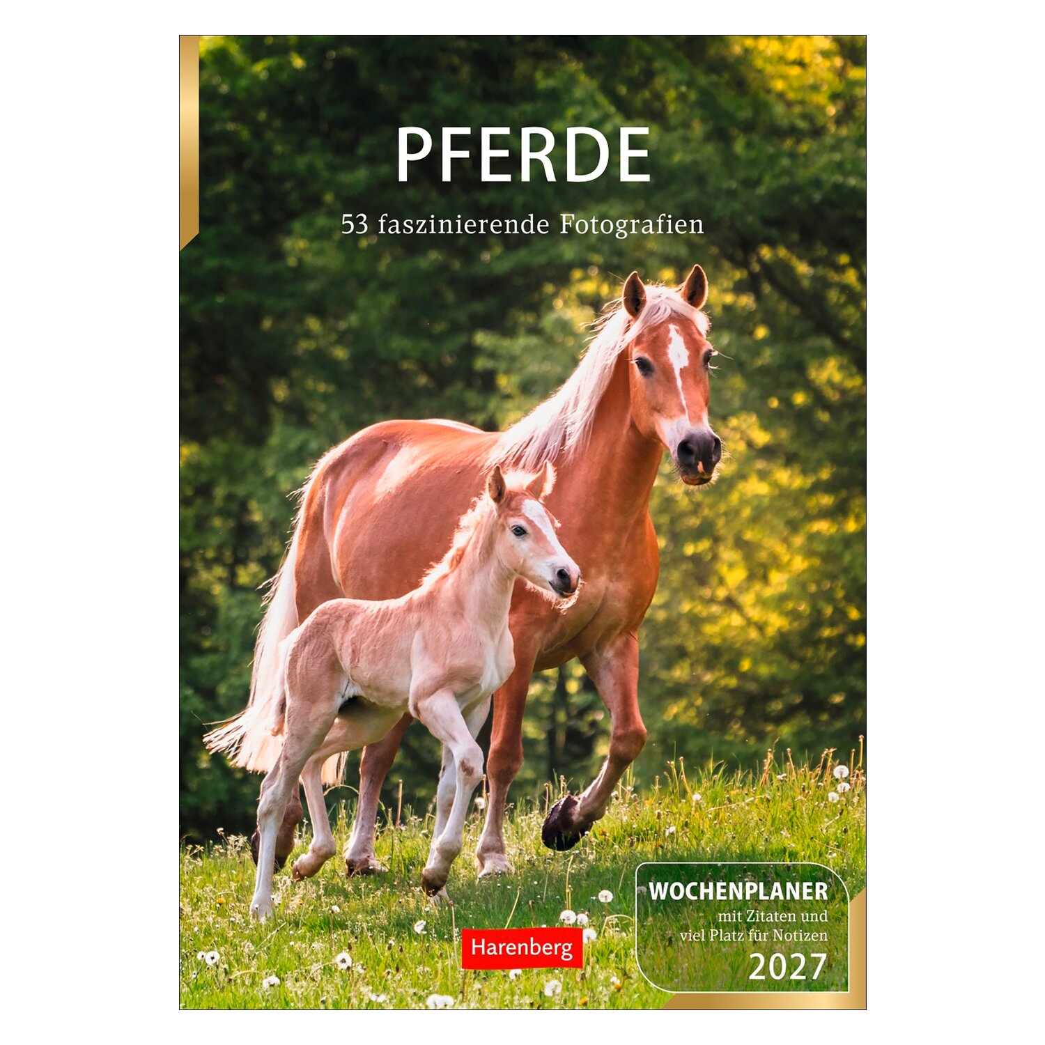 Wochenplaner Pferde 2027 &ndash; Ansicht 1