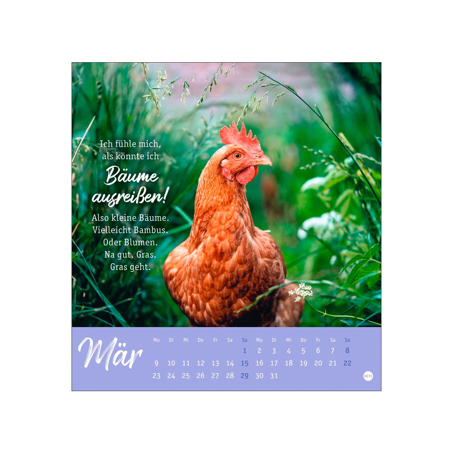 Postkartenkalender Hühner 2026 - Ach, du verrücktes Huhn – Ansicht 3