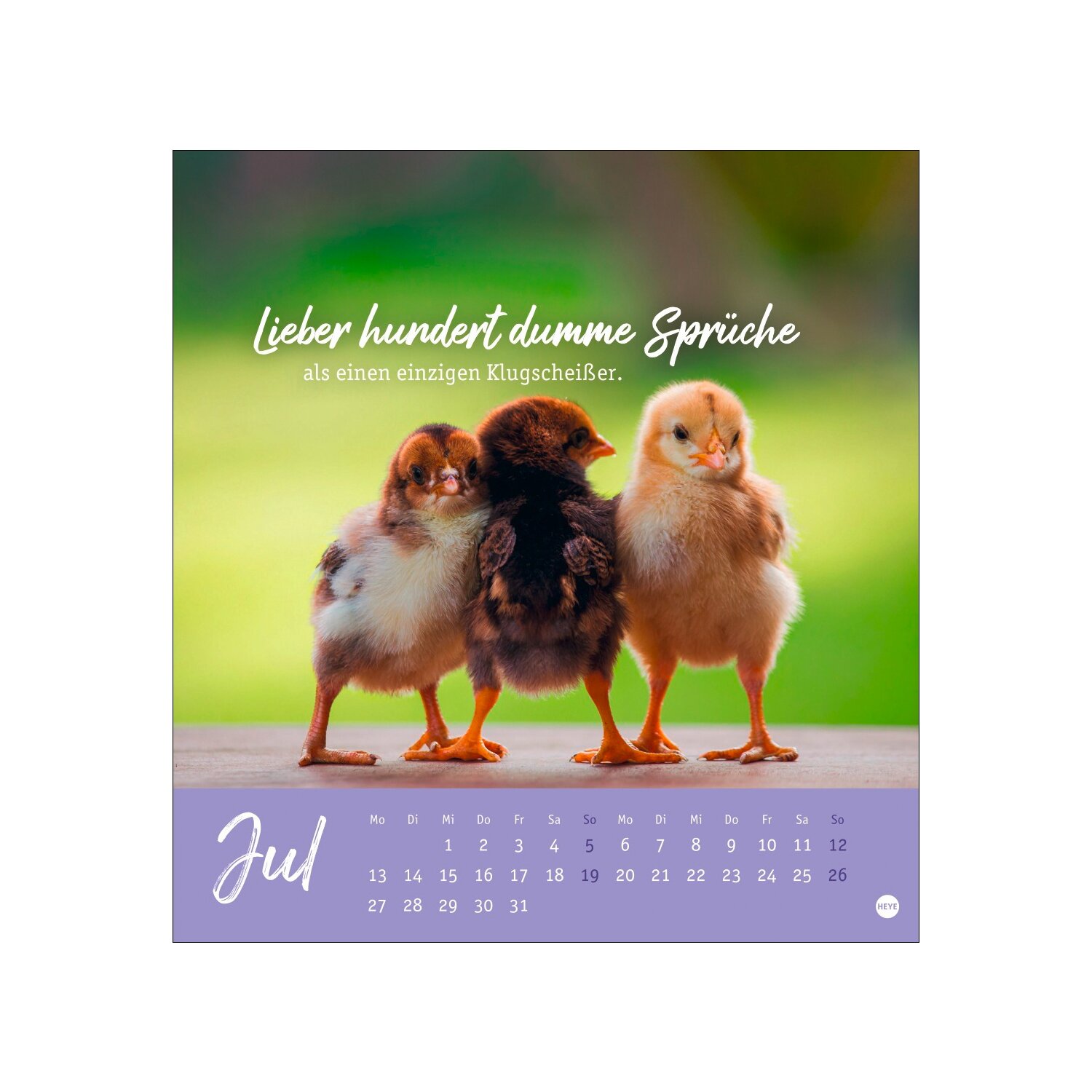 Postkartenkalender Hühner 2026 - Ach, du verrücktes Huhn – Ansicht 4