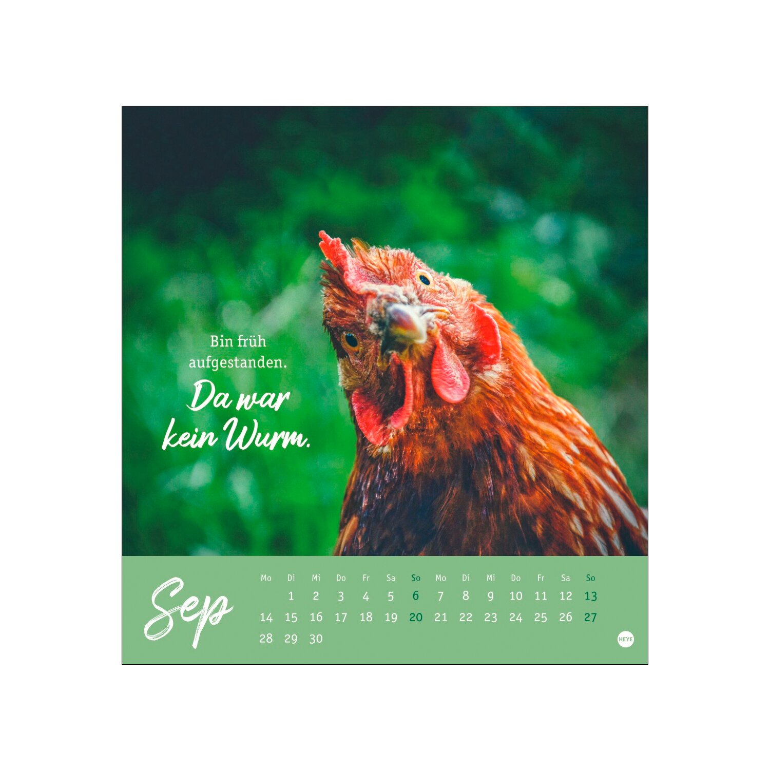 Postkartenkalender Hühner 2026 - Ach, du verrücktes Huhn – Ansicht 5