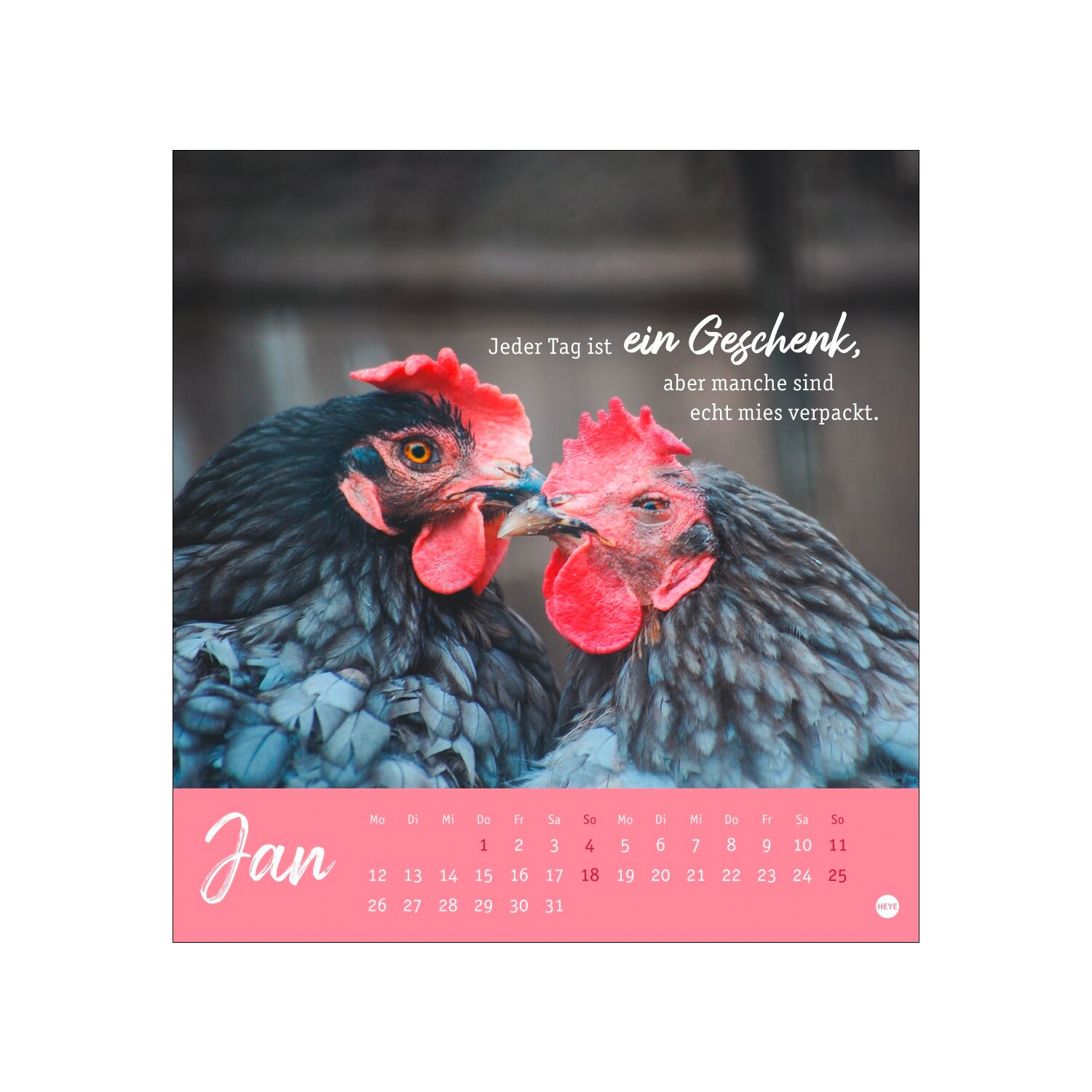 Postkartenkalender Hühner 2026 - Ach, du verrücktes Huhn – Ansicht 2