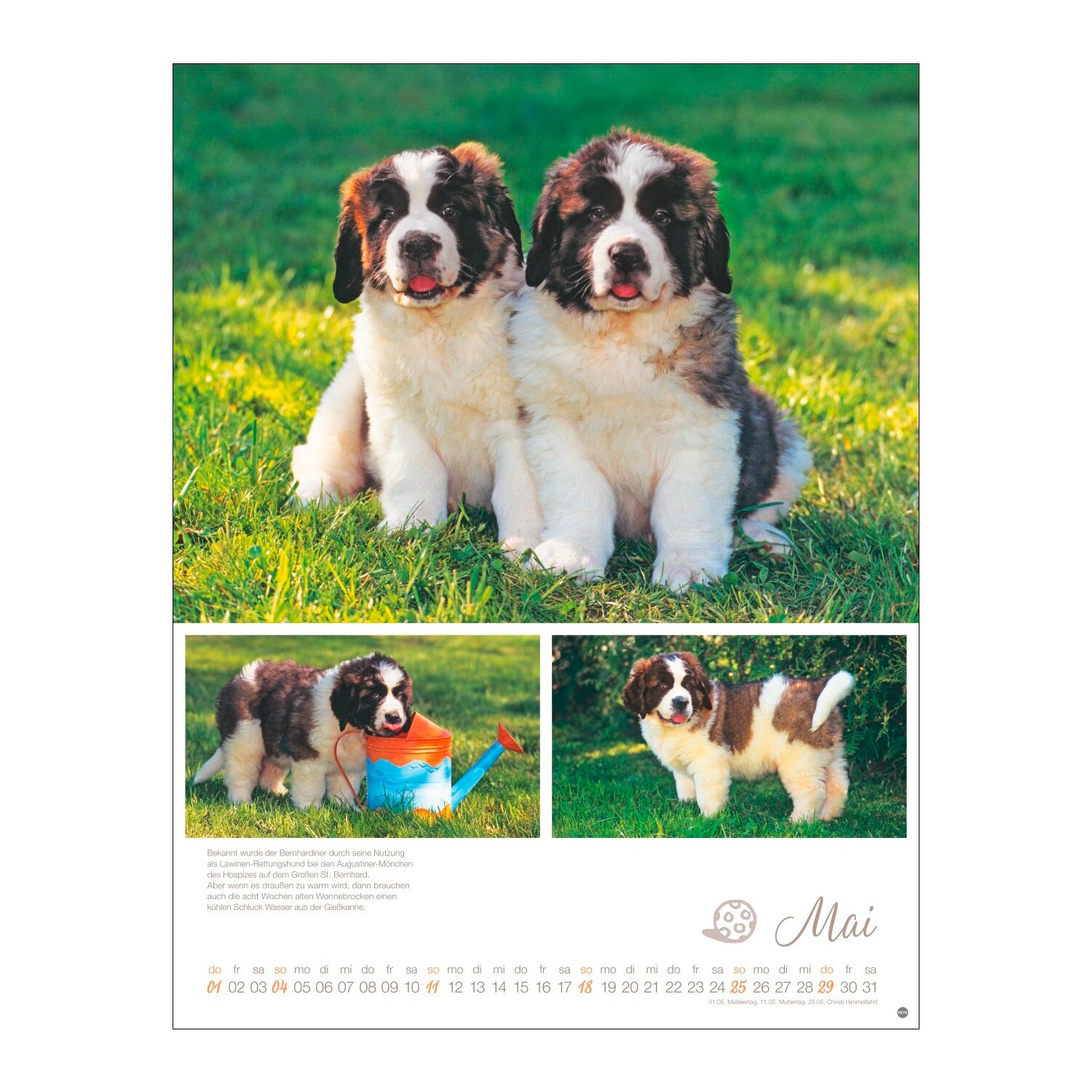 Posterkalender Hundekinder 2025 – Ansicht 4