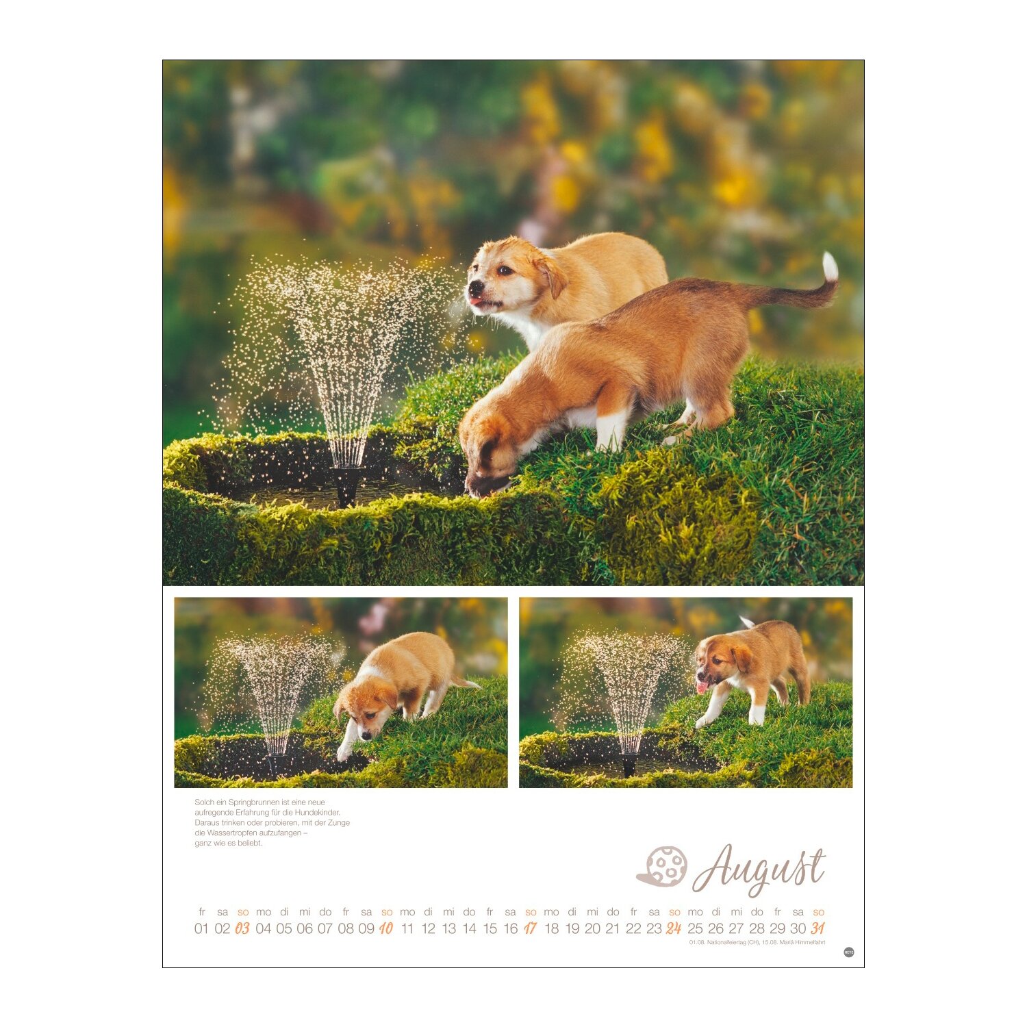 Posterkalender Hundekinder 2025 – Ansicht 5