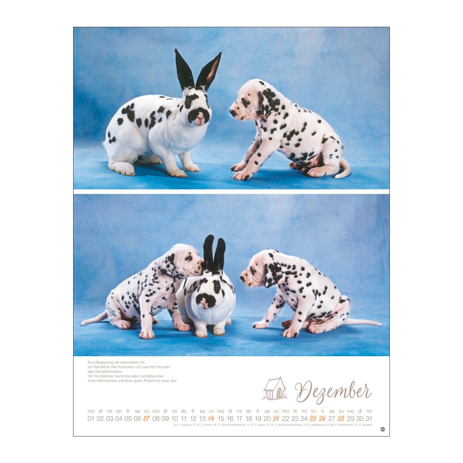 Posterkalender Hundekinder 2025 – Ansicht 7