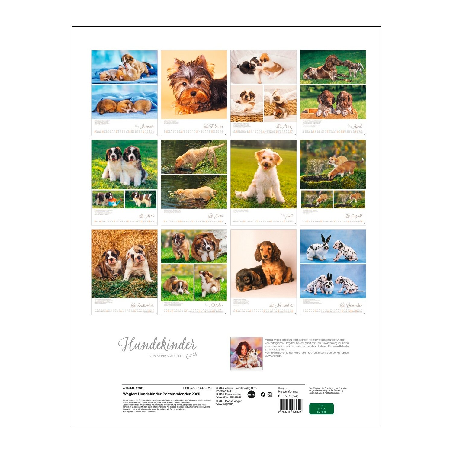 Posterkalender Hundekinder 2025 – Ansicht 8