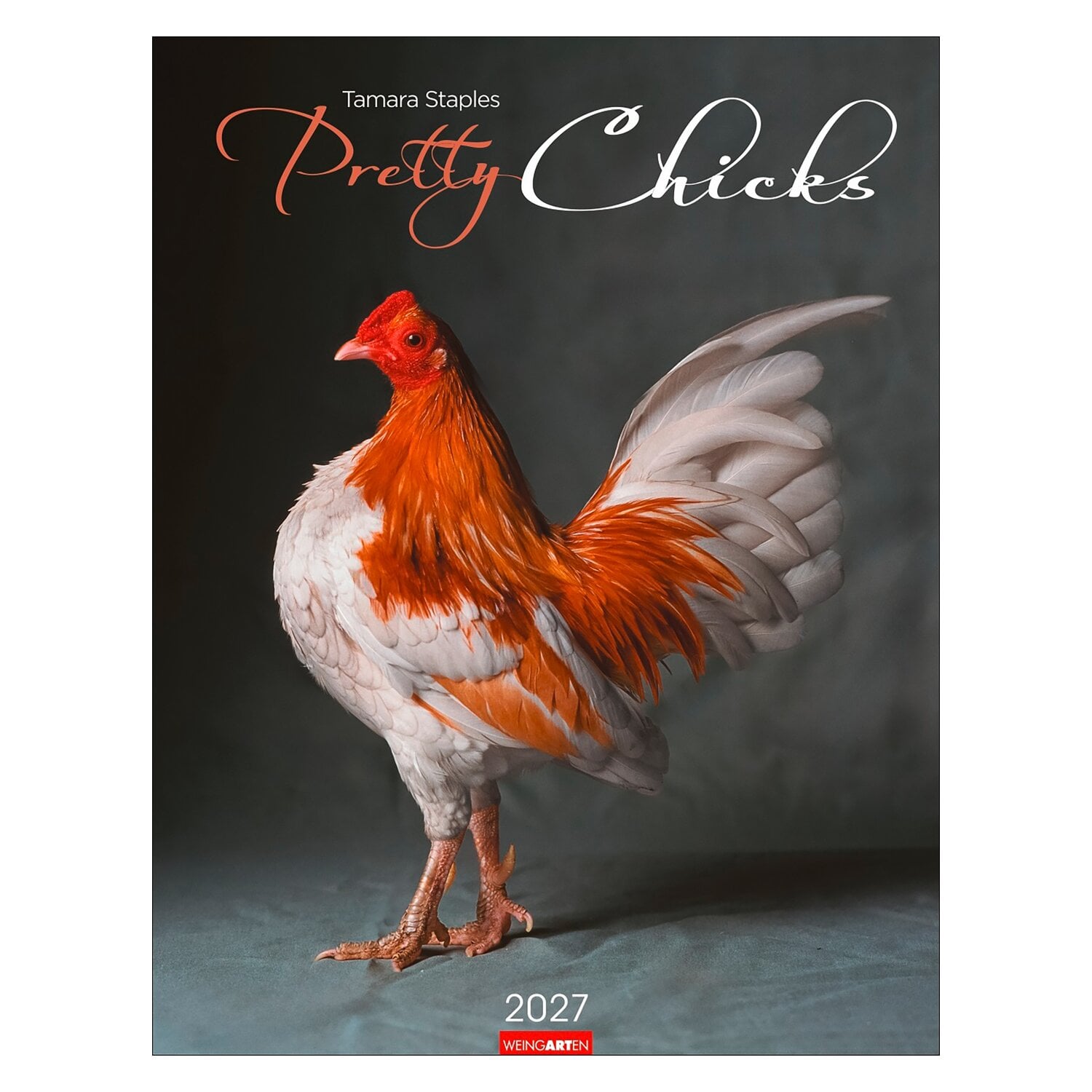 Kalender 2027 Pretty Chicks &ndash; Ansicht 1