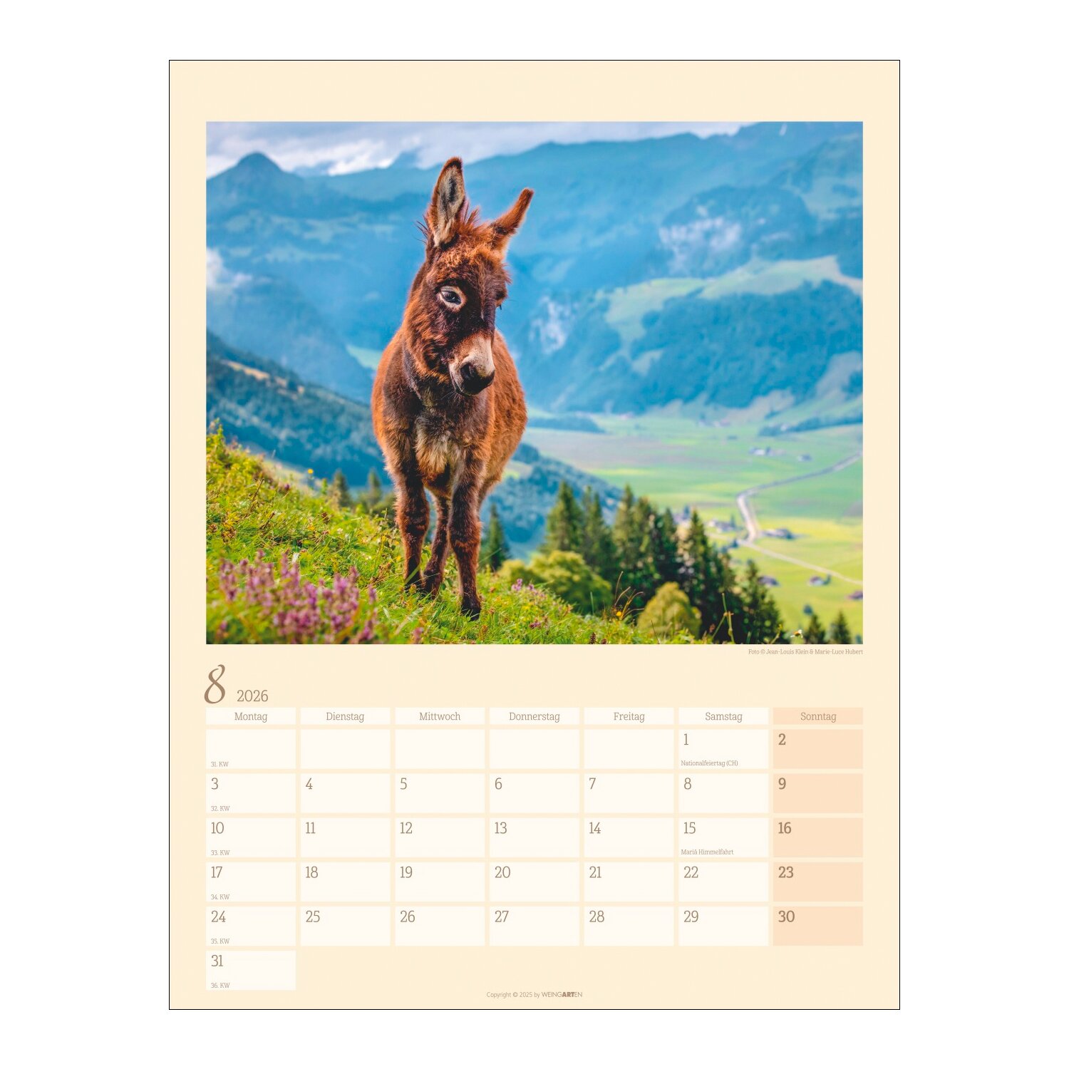 Kalender Esel 2026 – Ansicht 5