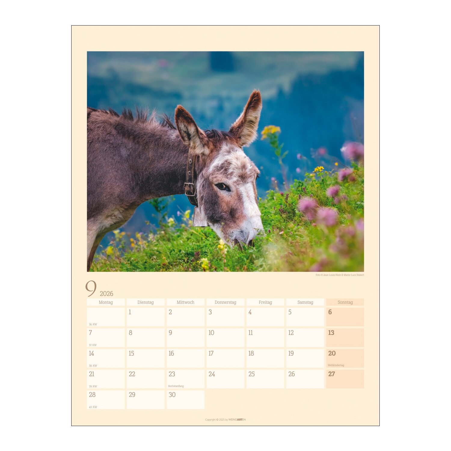 Kalender Esel 2026 – Ansicht 6