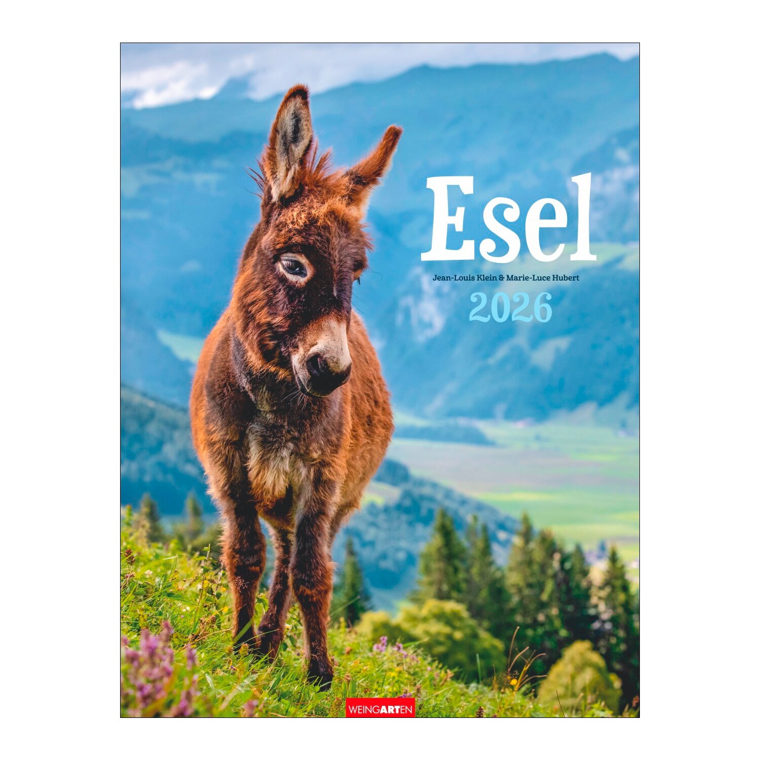 Kalender Esel 2026 – Ansicht 1