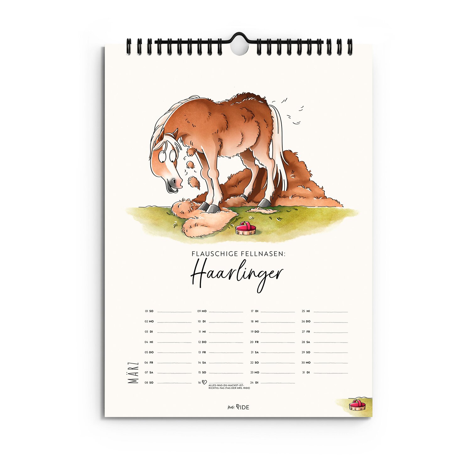 mrs. RIDE Kalender Haflinger 2026 – Ansicht 3