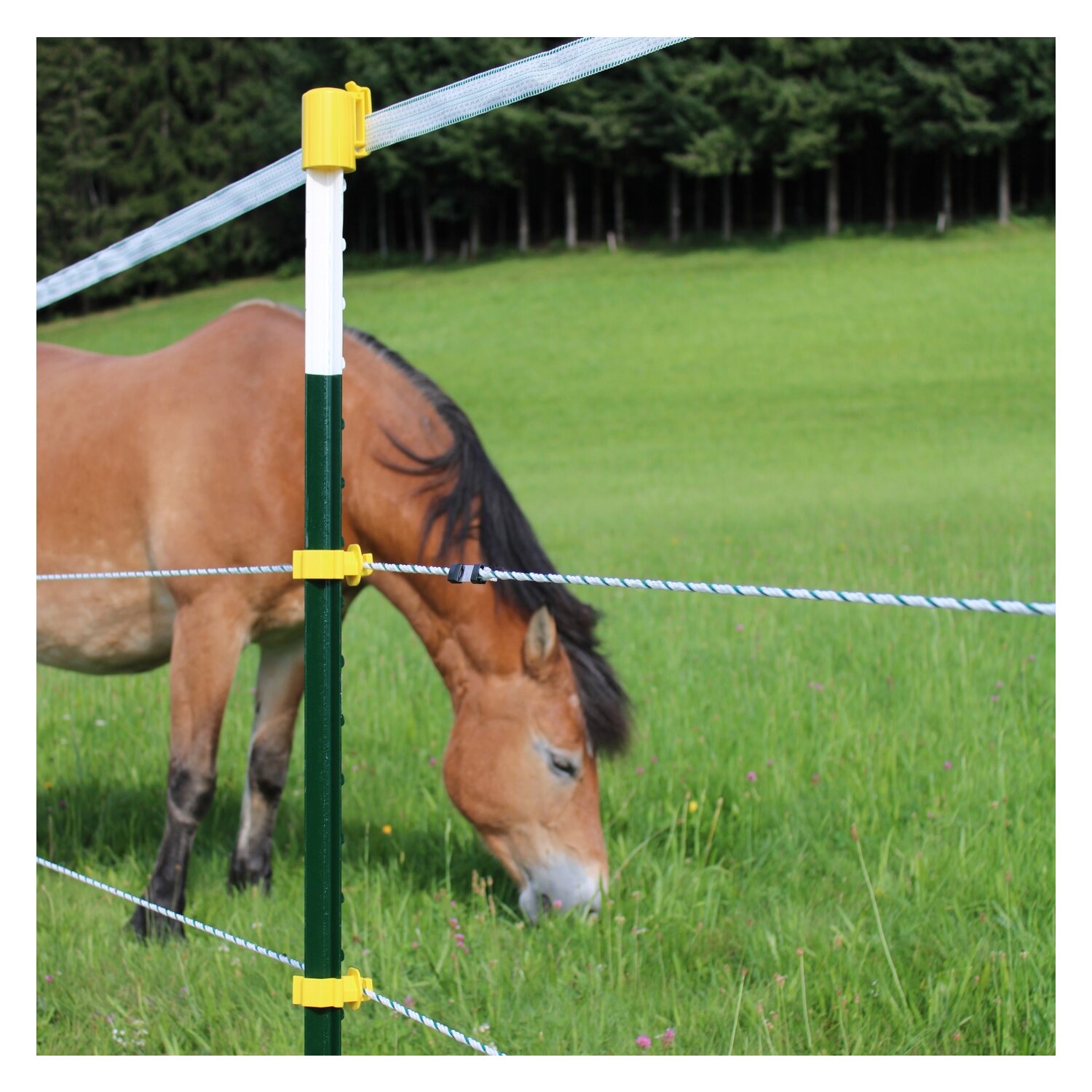 KERBL T-Pfosten, 182 cm – Ansicht 3