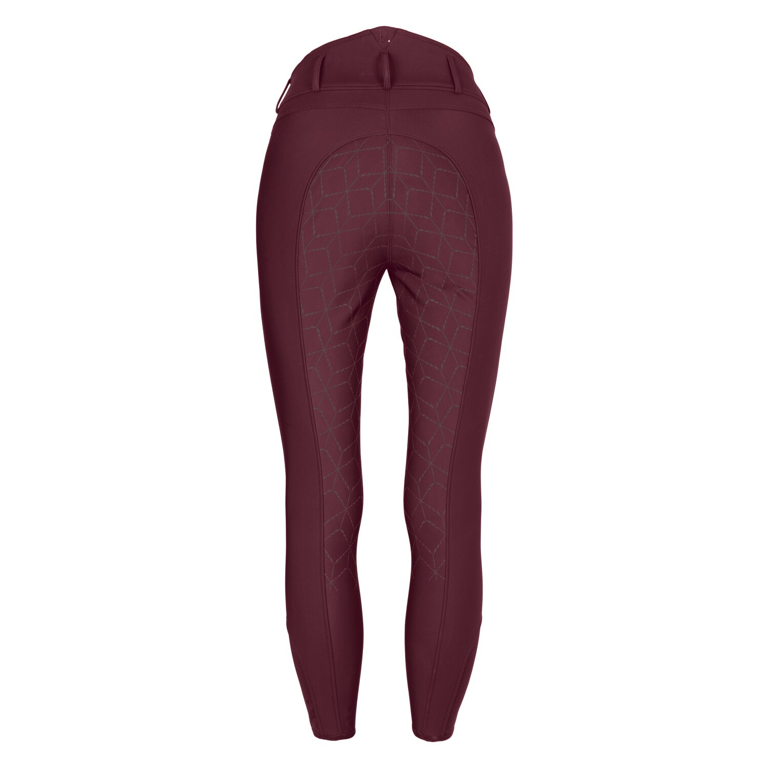 RIDE now Softshell-Grip-Vollbesatz-Reithose – Ansicht 2