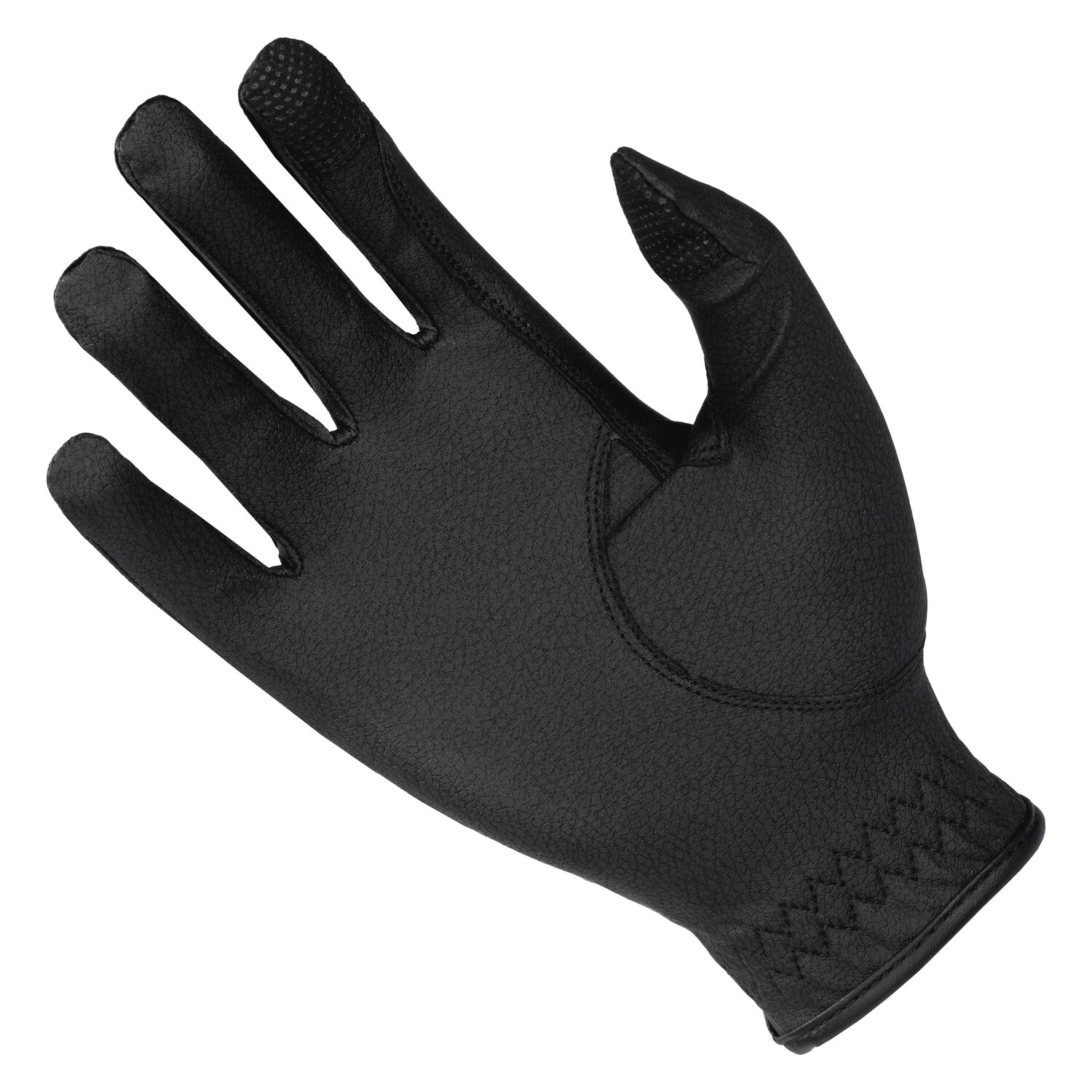 ALESSANDO ALBANESE Reithandschuh Platinum, Unisex, ALESSANDRO ALBANESE – Ansicht 2