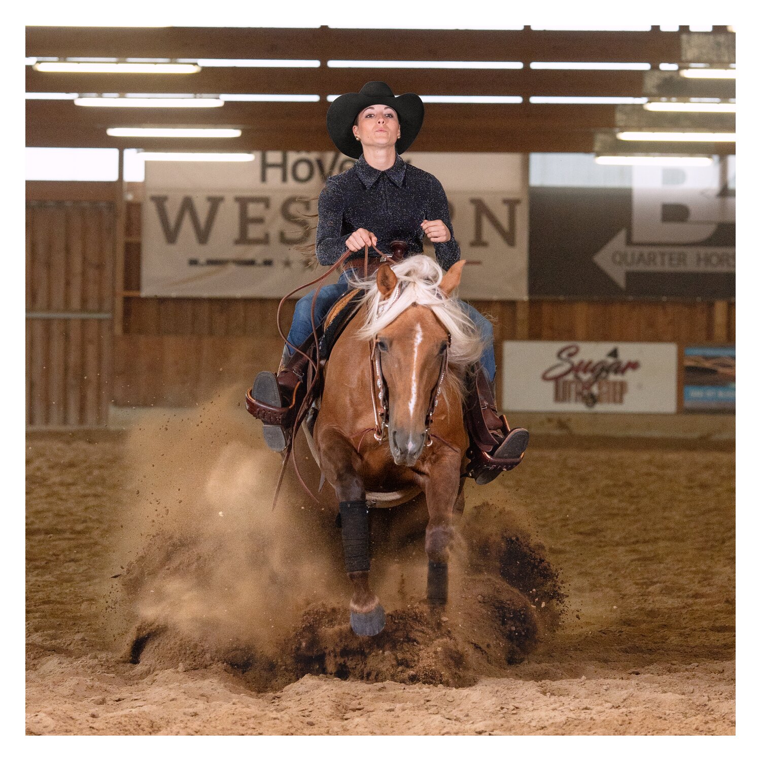 Passion 4Q Showshirt – Ansicht 4