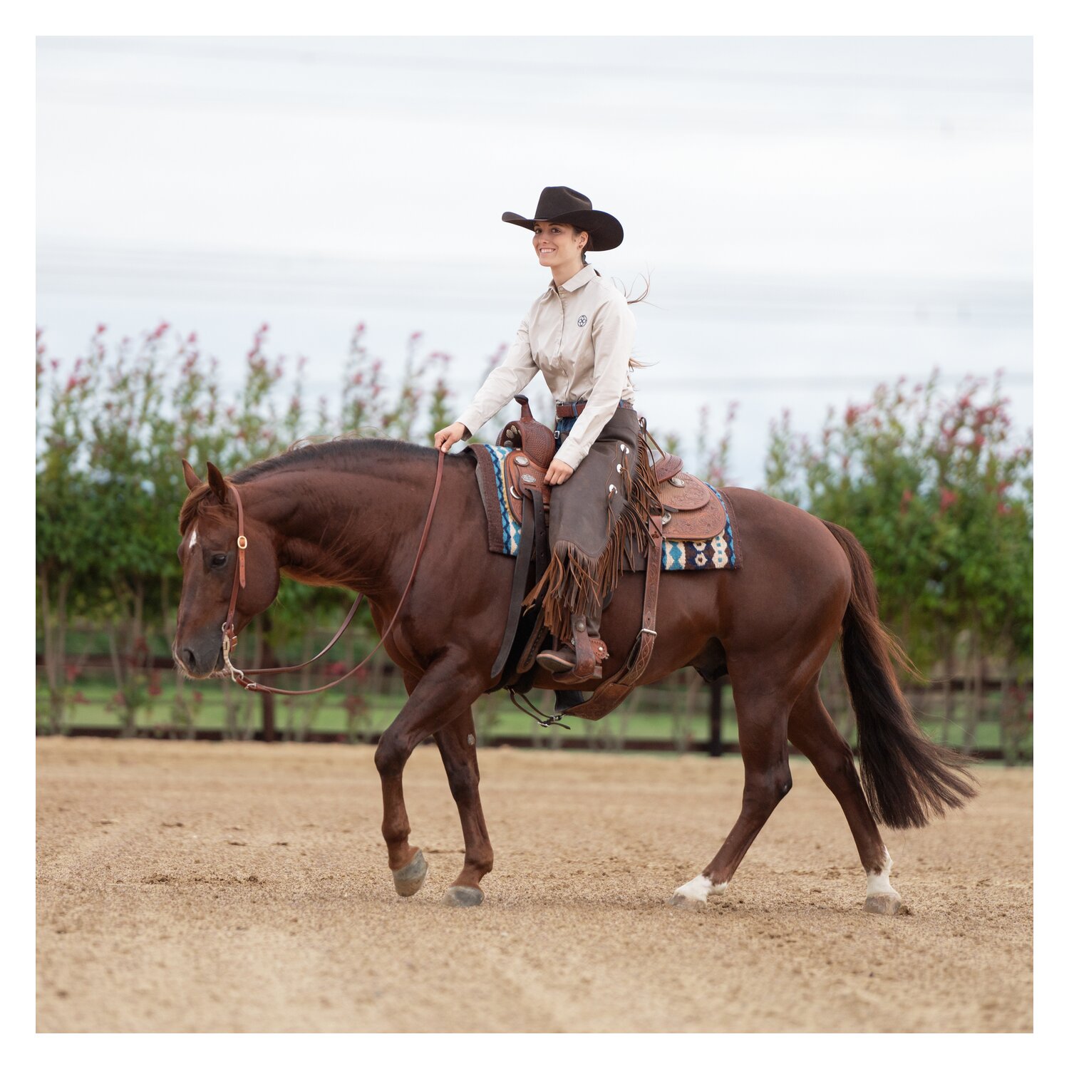 Passion 4Q Bluse – Ansicht 3