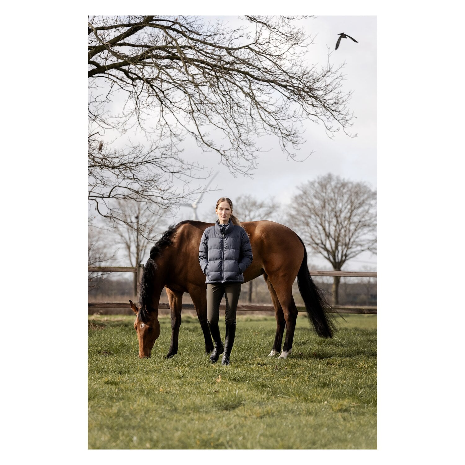ARIAT Gesäßeinsatz-Reithose Tri Factor Frost &ndash; Ansicht 2