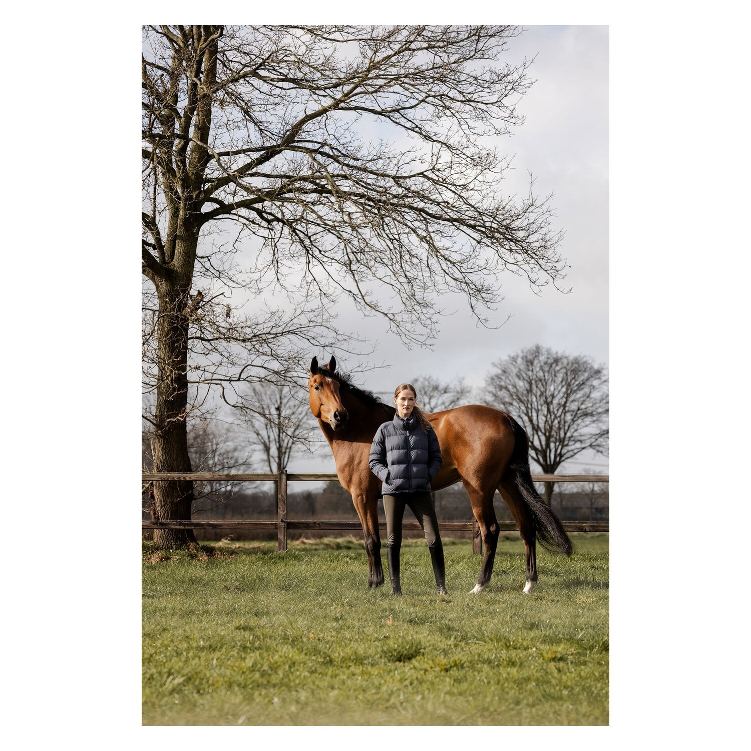 ARIAT Gesäßeinsatz-Reithose Tri Factor Frost &ndash; Ansicht 3