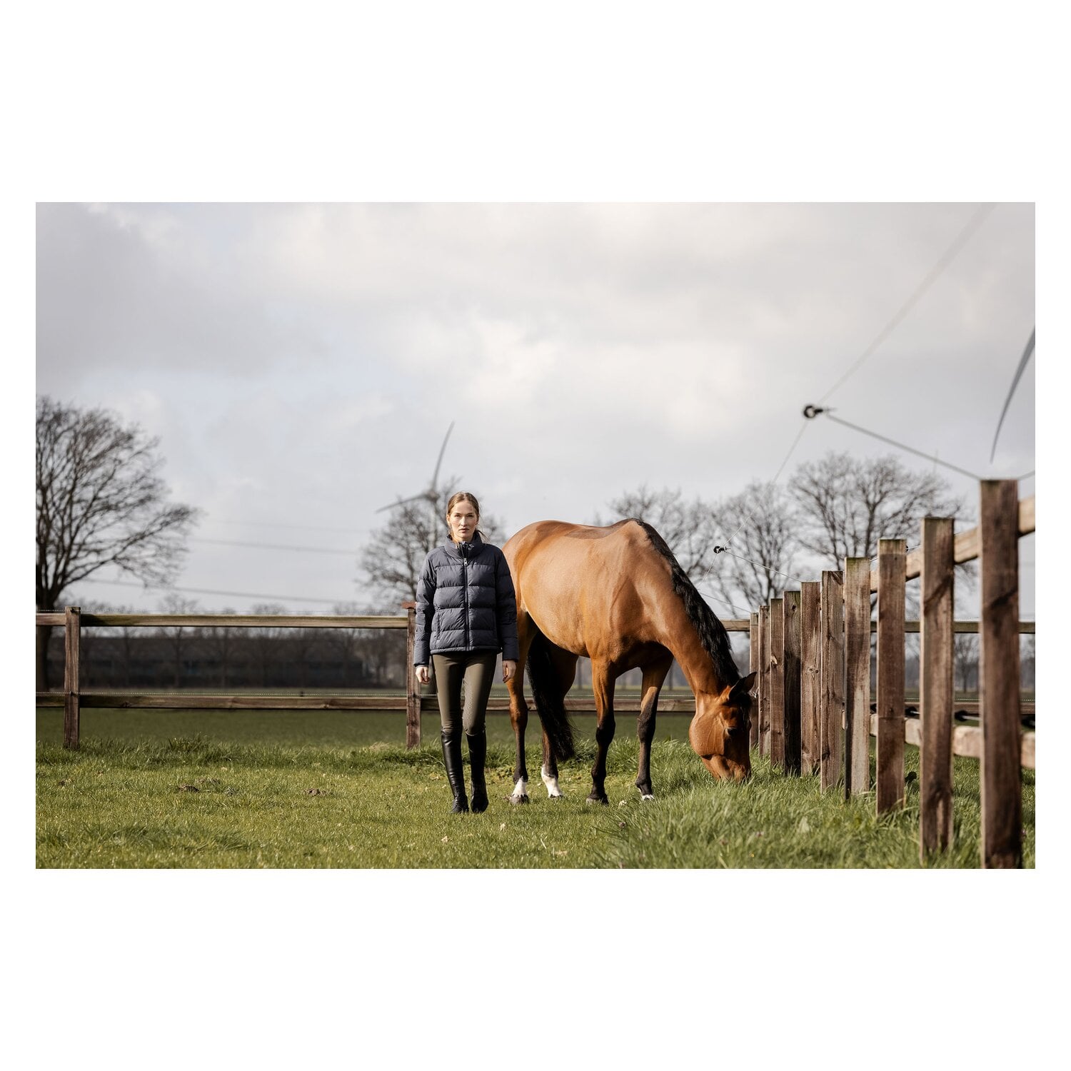 ARIAT Gesäßeinsatz-Reithose Tri Factor Frost &ndash; Ansicht 4