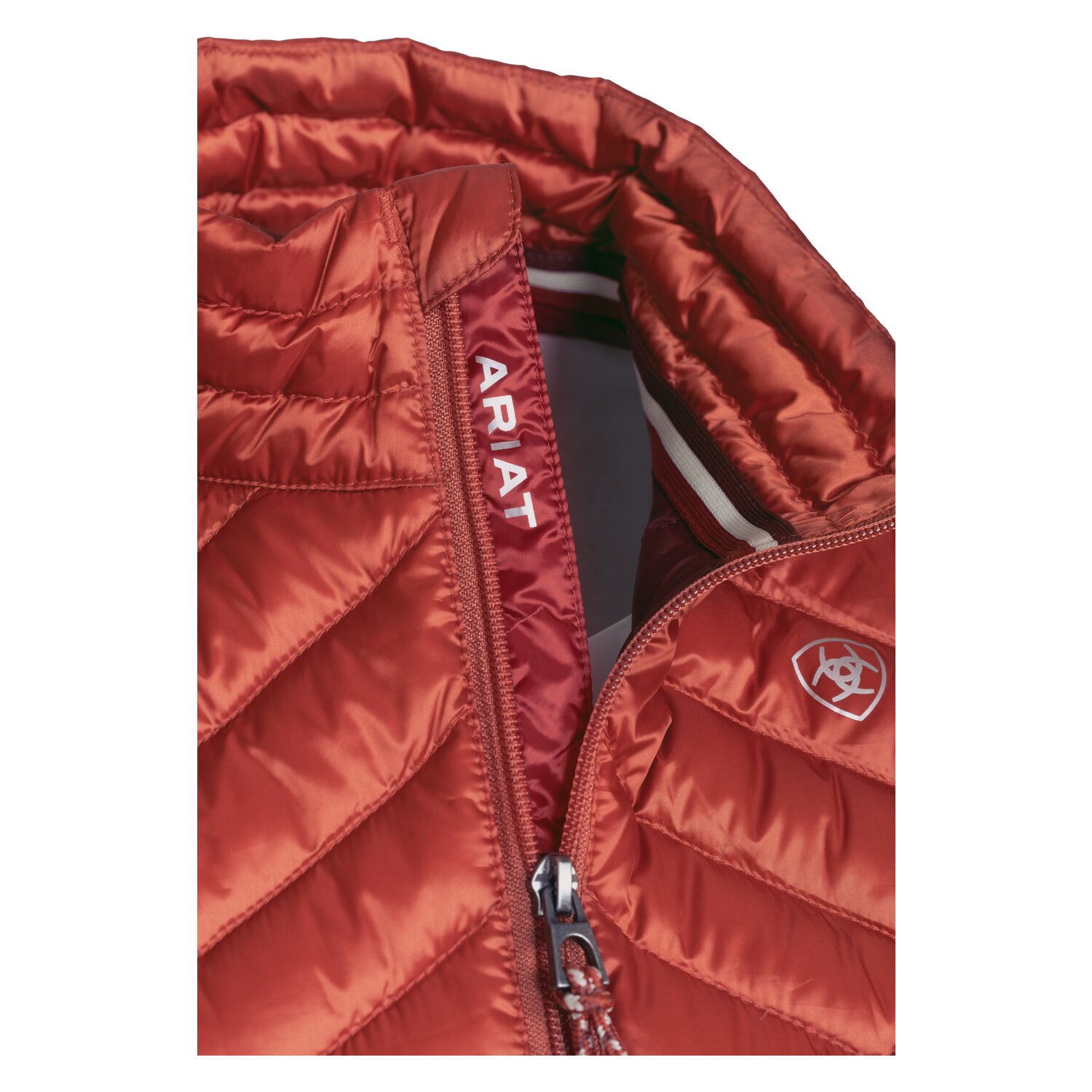 ARIAT Daunenjacke Ideal Down – Ansicht 8