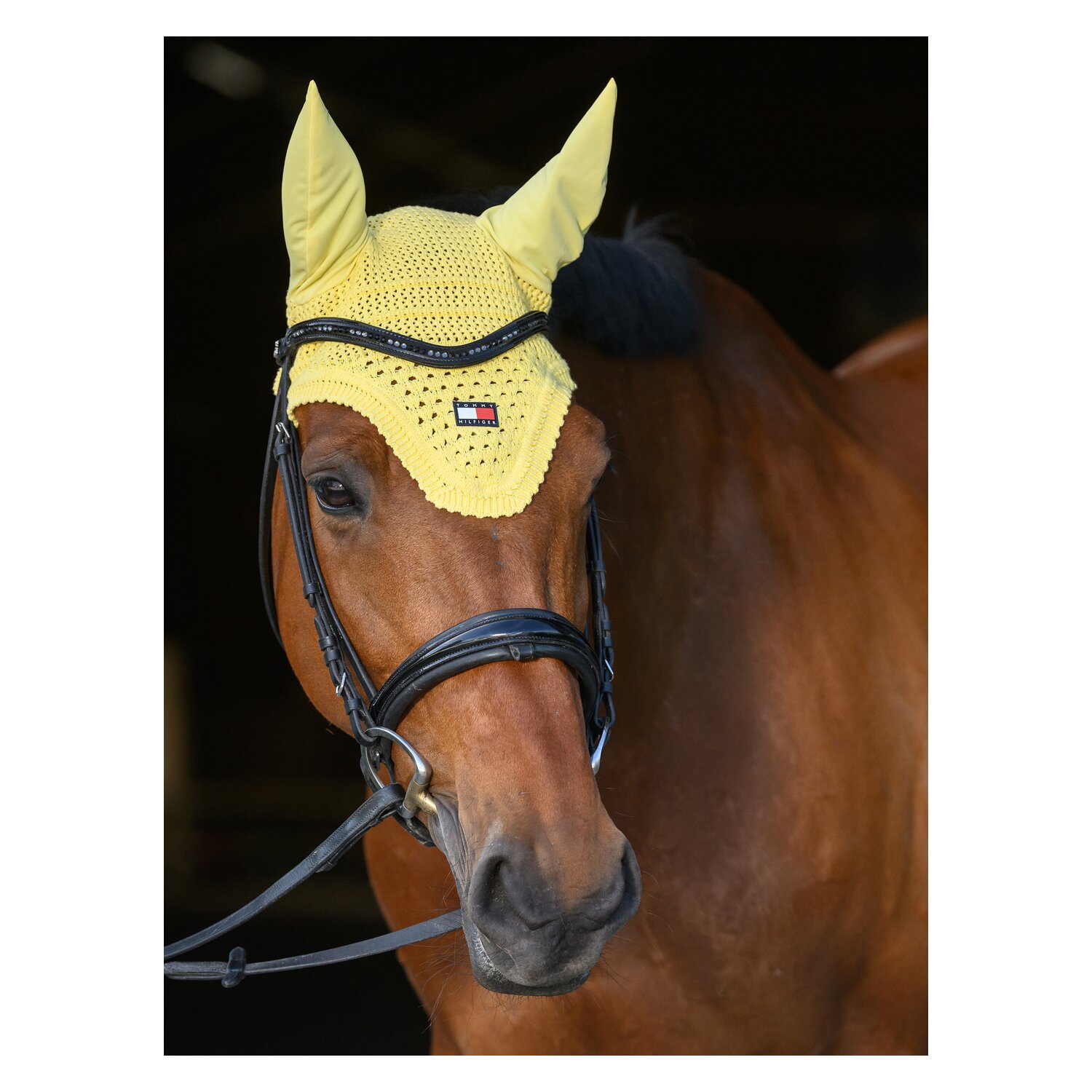 TOMMY HILFIGER EQUESTRIAN Fliegenhaube Lexington &ndash; Ansicht 4