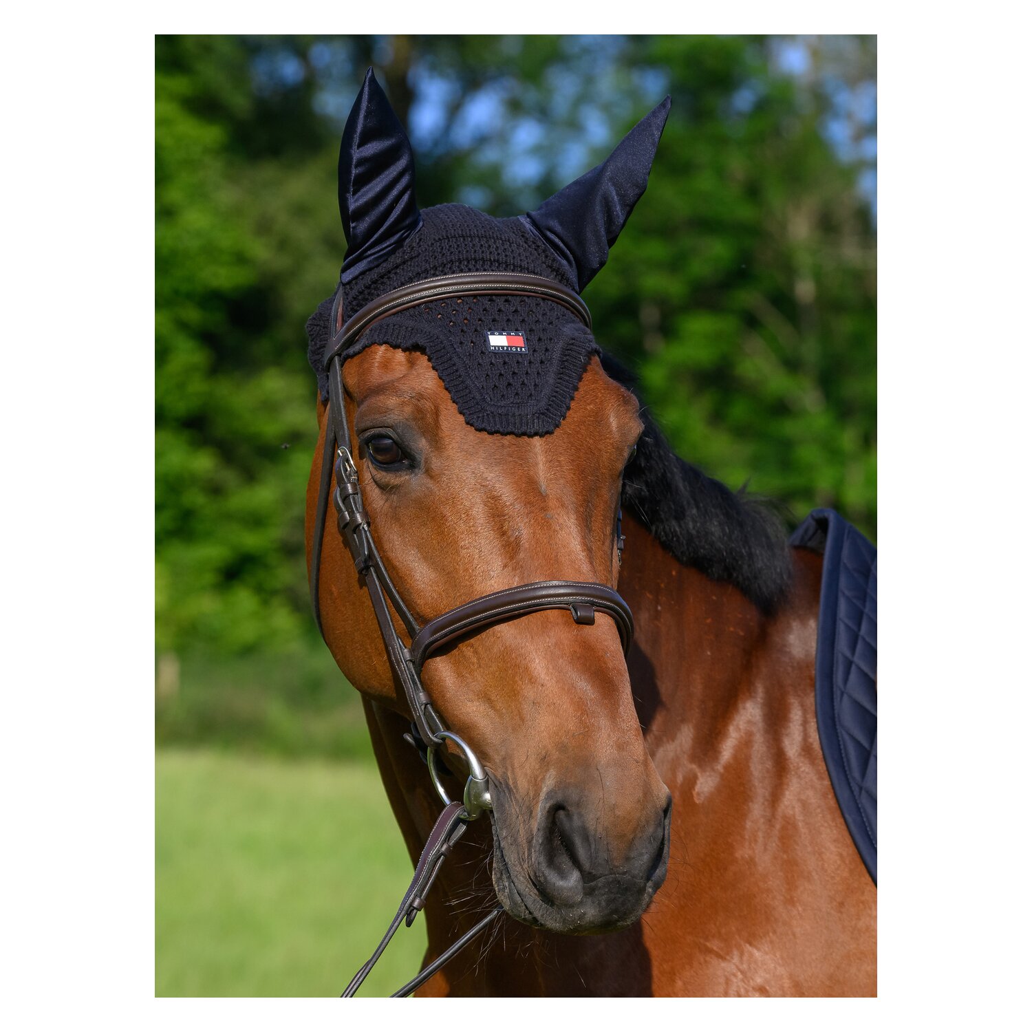 TOMMY HILFIGER EQUESTRIAN Fliegenhaube Lexington – Ansicht 2
