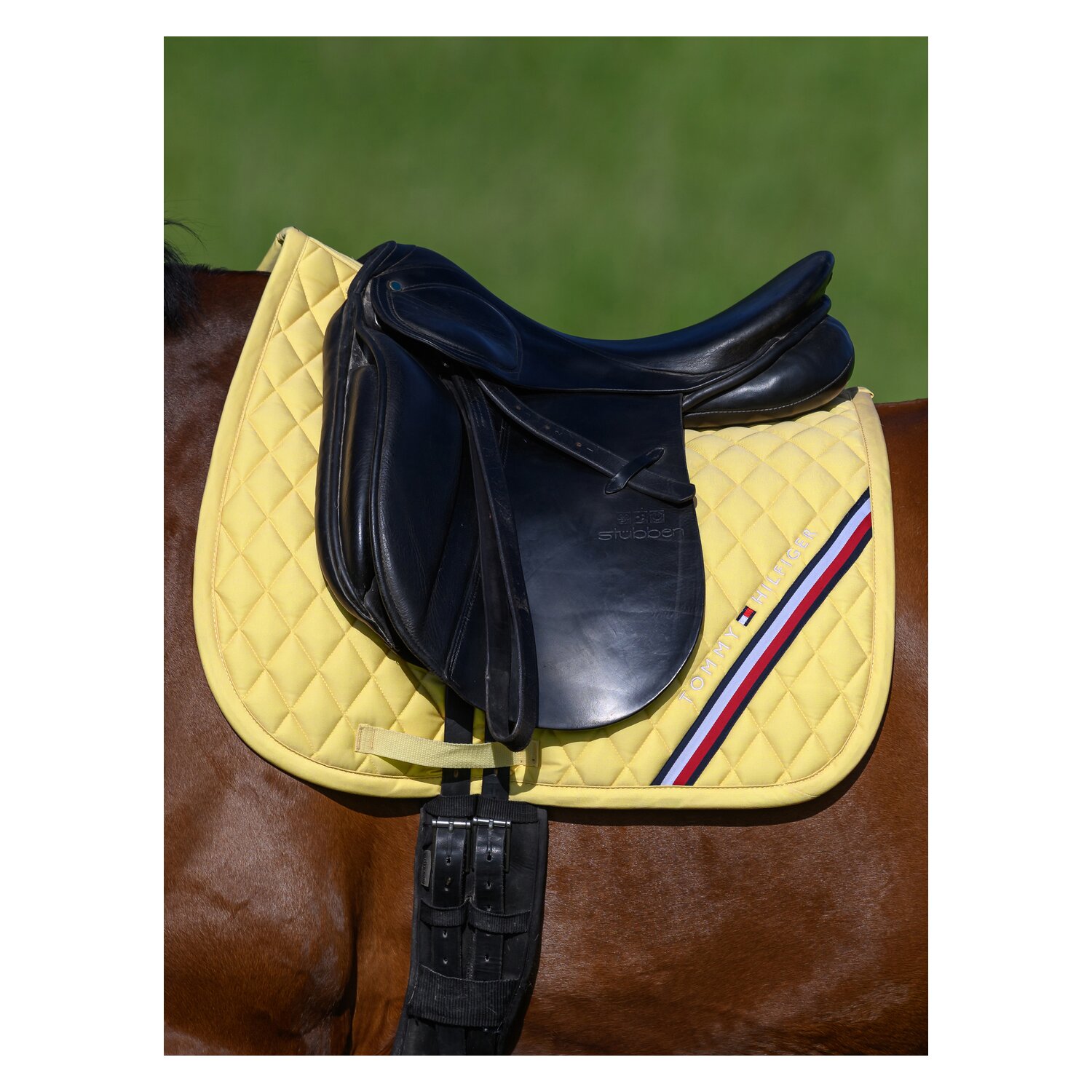 TOMMY HILFIGER EQUESTRIAN Schabracke Stanford – Ansicht 2