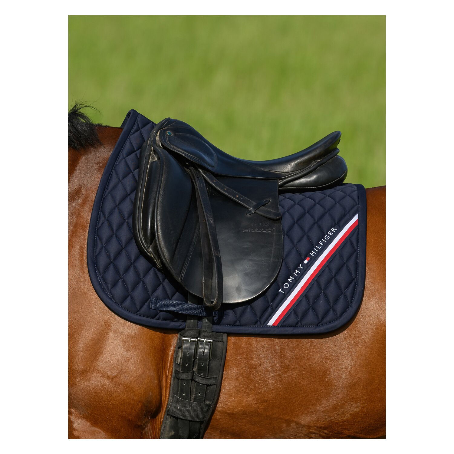 TOMMY HILFIGER EQUESTRIAN Schabracke Stanford – Ansicht 2