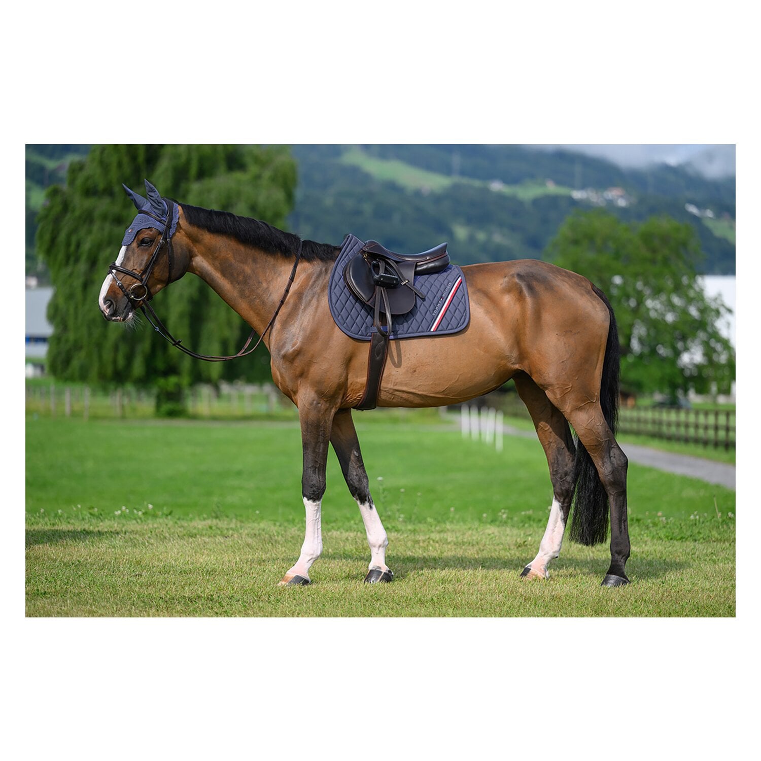 TOMMY HILFIGER EQUESTRIAN Schabracke Stanford &ndash; Ansicht 6