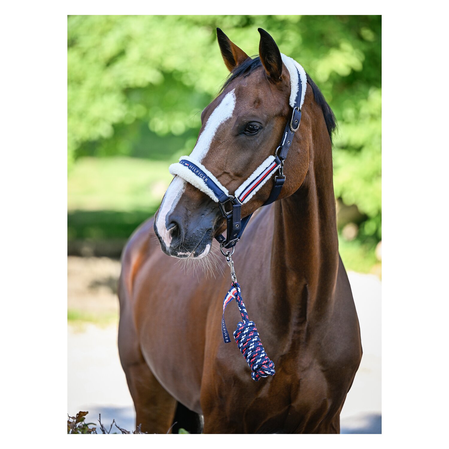 TOMMY HILFIGER EQUESTRIAN Halfter mit Führstrick FauxFur &ndash; Ansicht 3