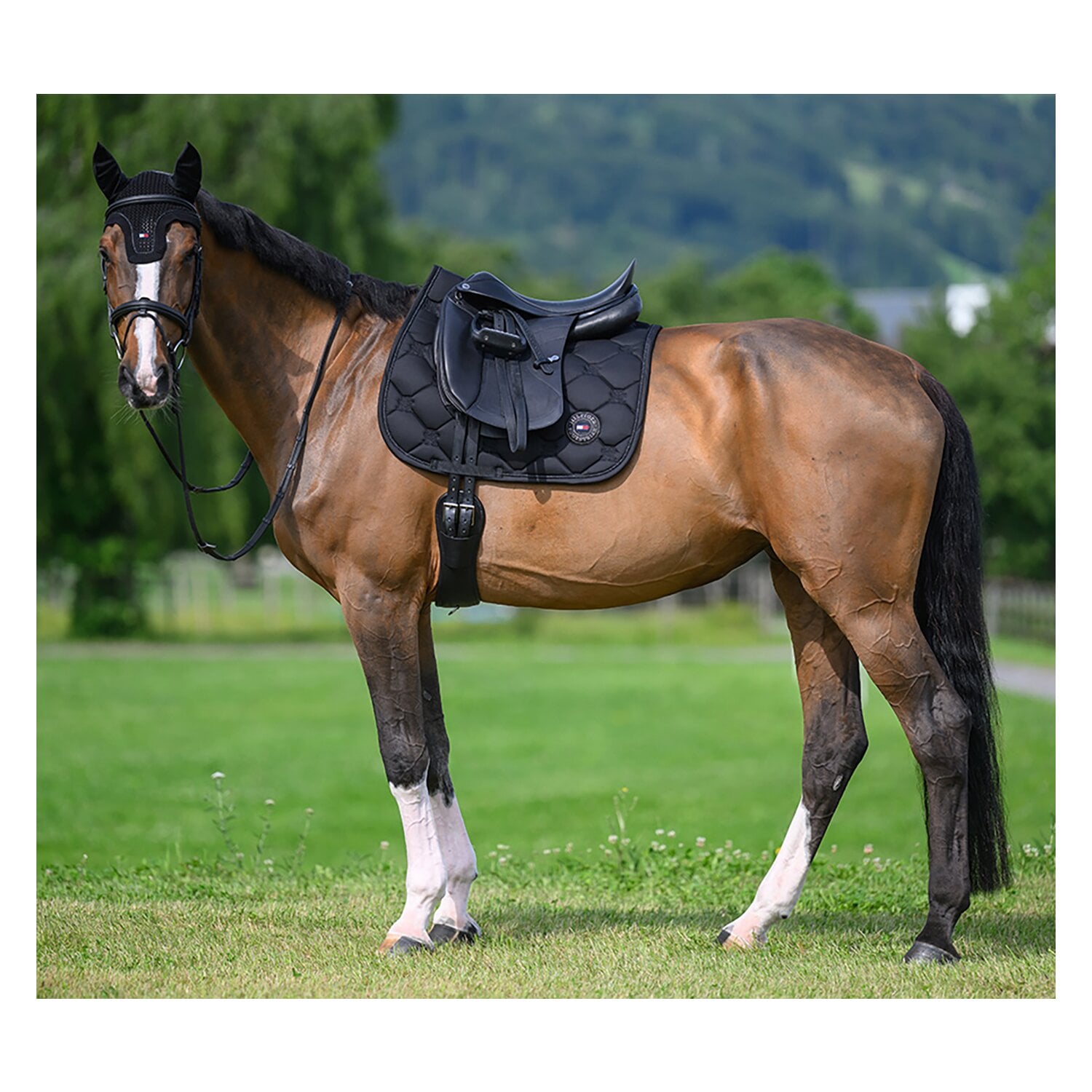 TOMMY HILFIGER EQUESTRIAN Fliegenhaube Emory &ndash; Ansicht 4