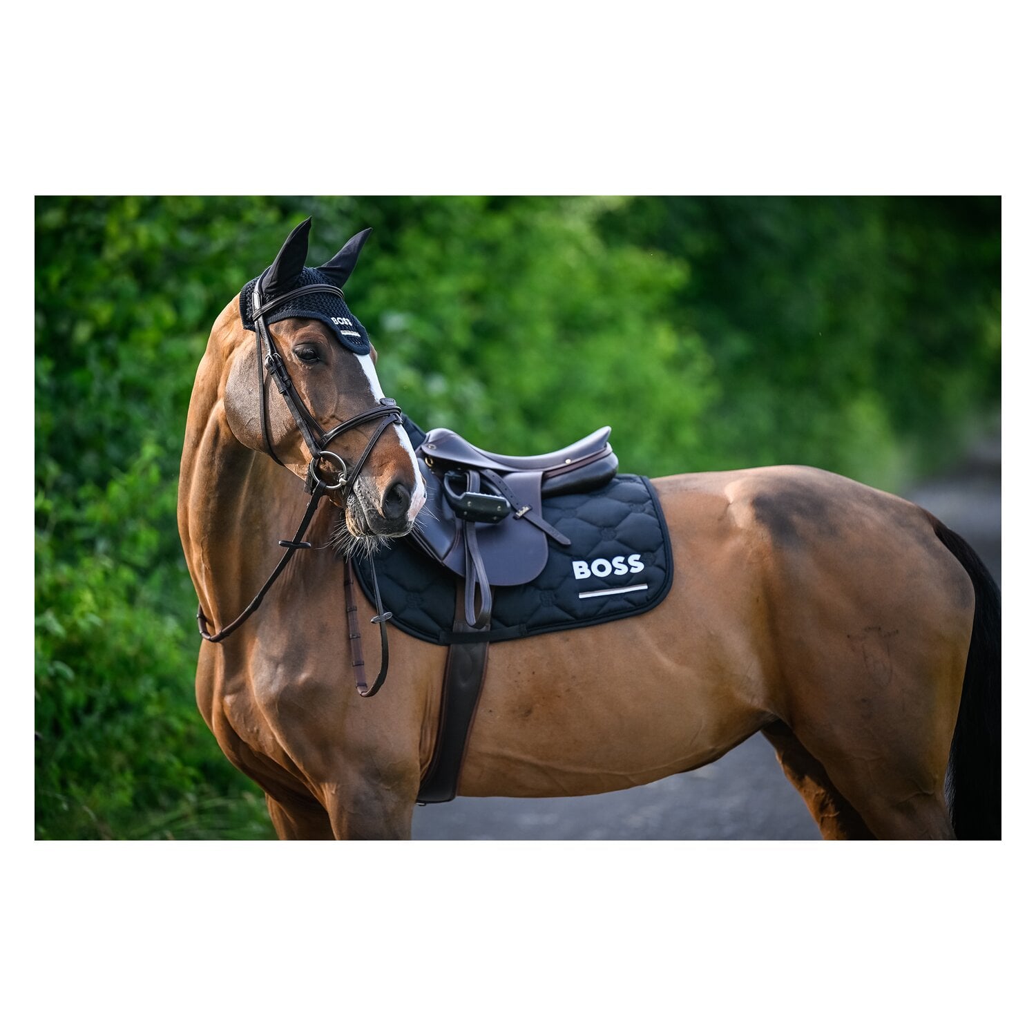 BOSS EQUESTRIAN Springschabracke Cheltenhem Tape &ndash; Ansicht 7