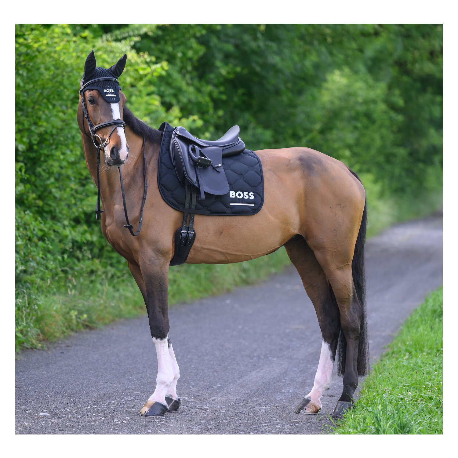 BOSS EQUESTRIAN Fliegenhaube Calgary Tape &ndash; Ansicht 9