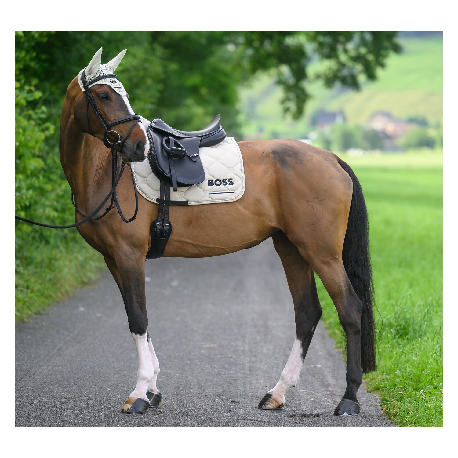 BOSS EQUESTRIAN Fliegenhaube Calgary Tape &ndash; Ansicht 10