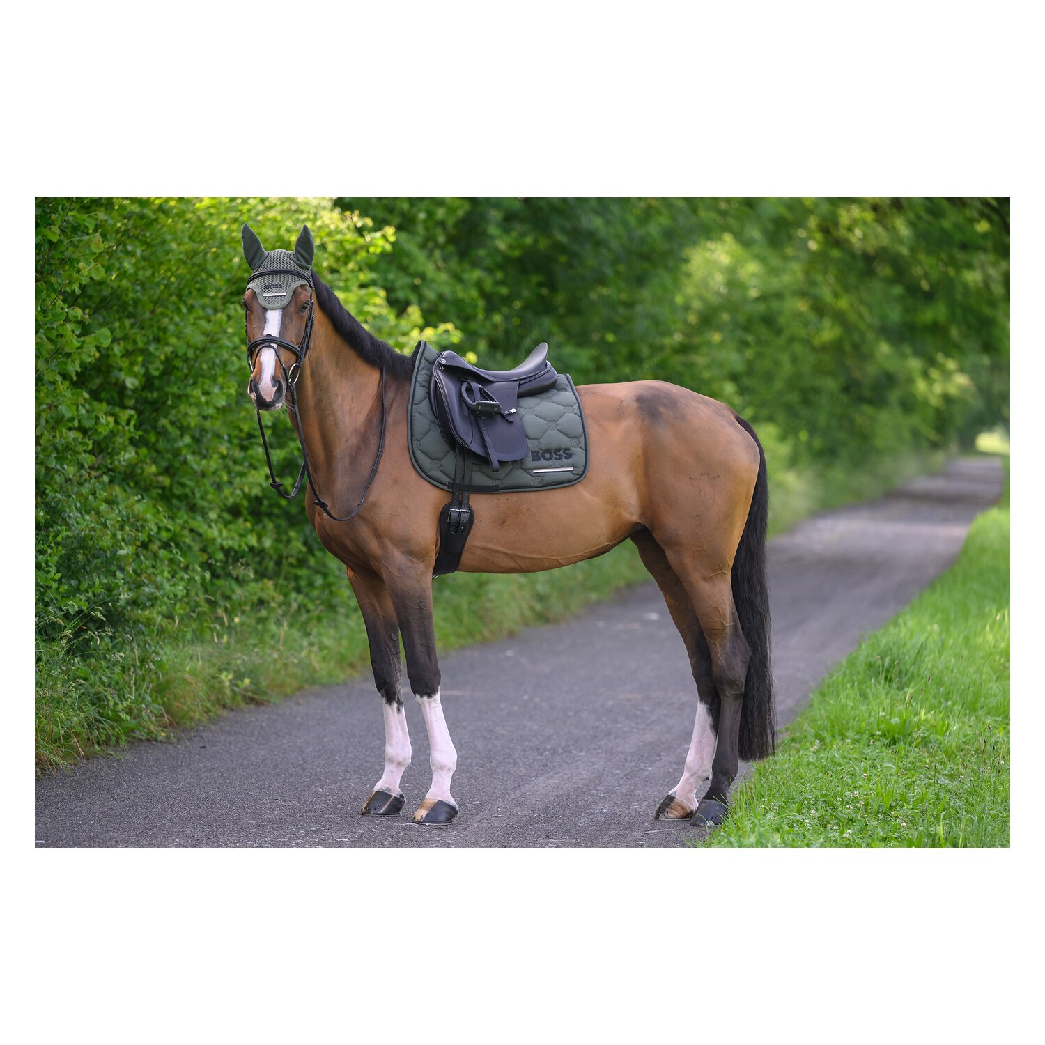 BOSS EQUESTRIAN Fliegenhaube Calgary Tape &ndash; Ansicht 9