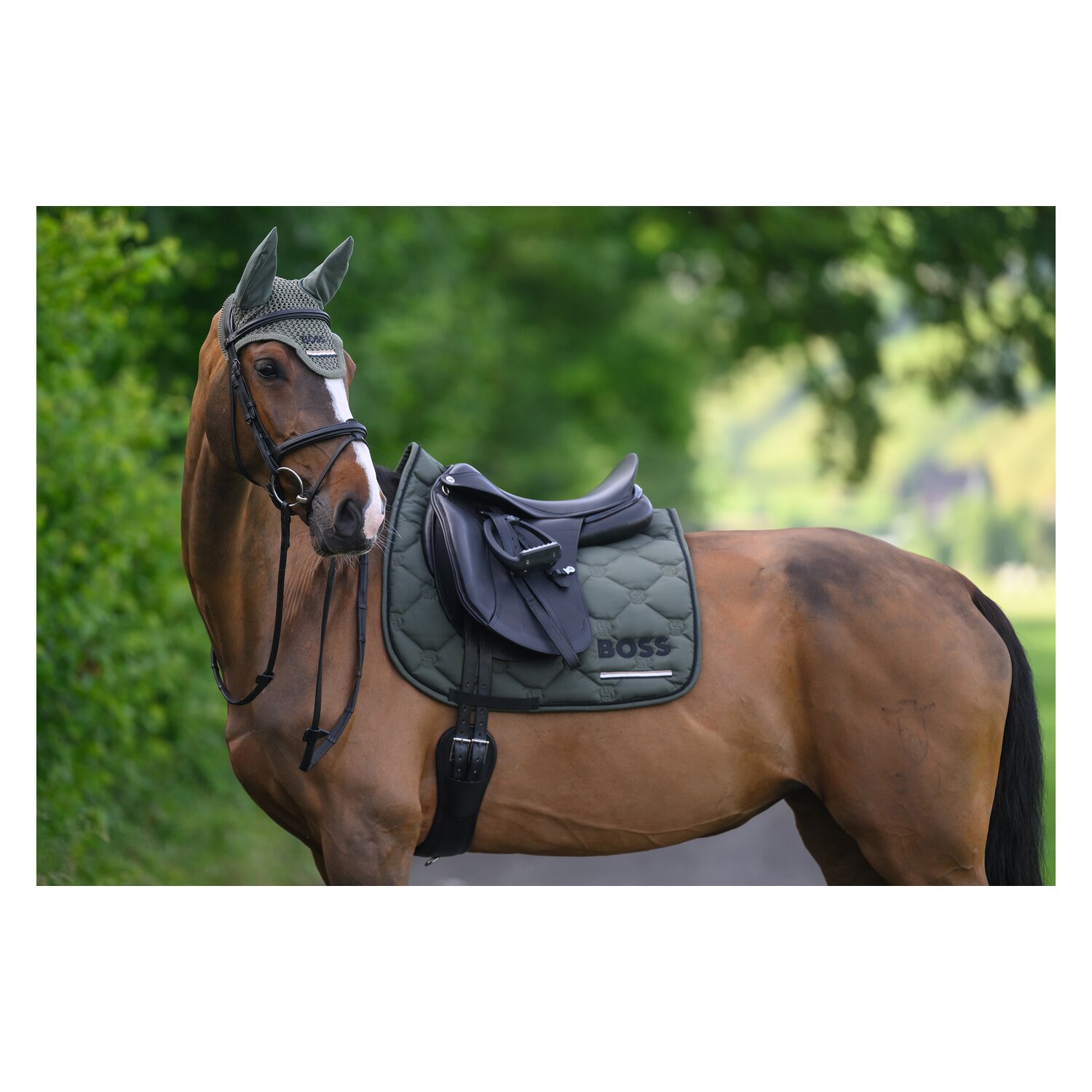 BOSS EQUESTRIAN Fliegenhaube Calgary Tape &ndash; Ansicht 12