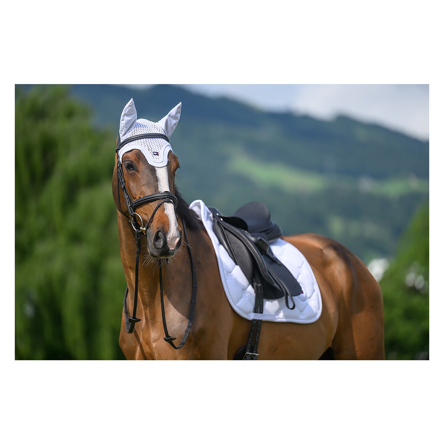 TOMMY HILFIGER EQUESTRIAN Fliegenhaube Liberty &ndash; Ansicht 3