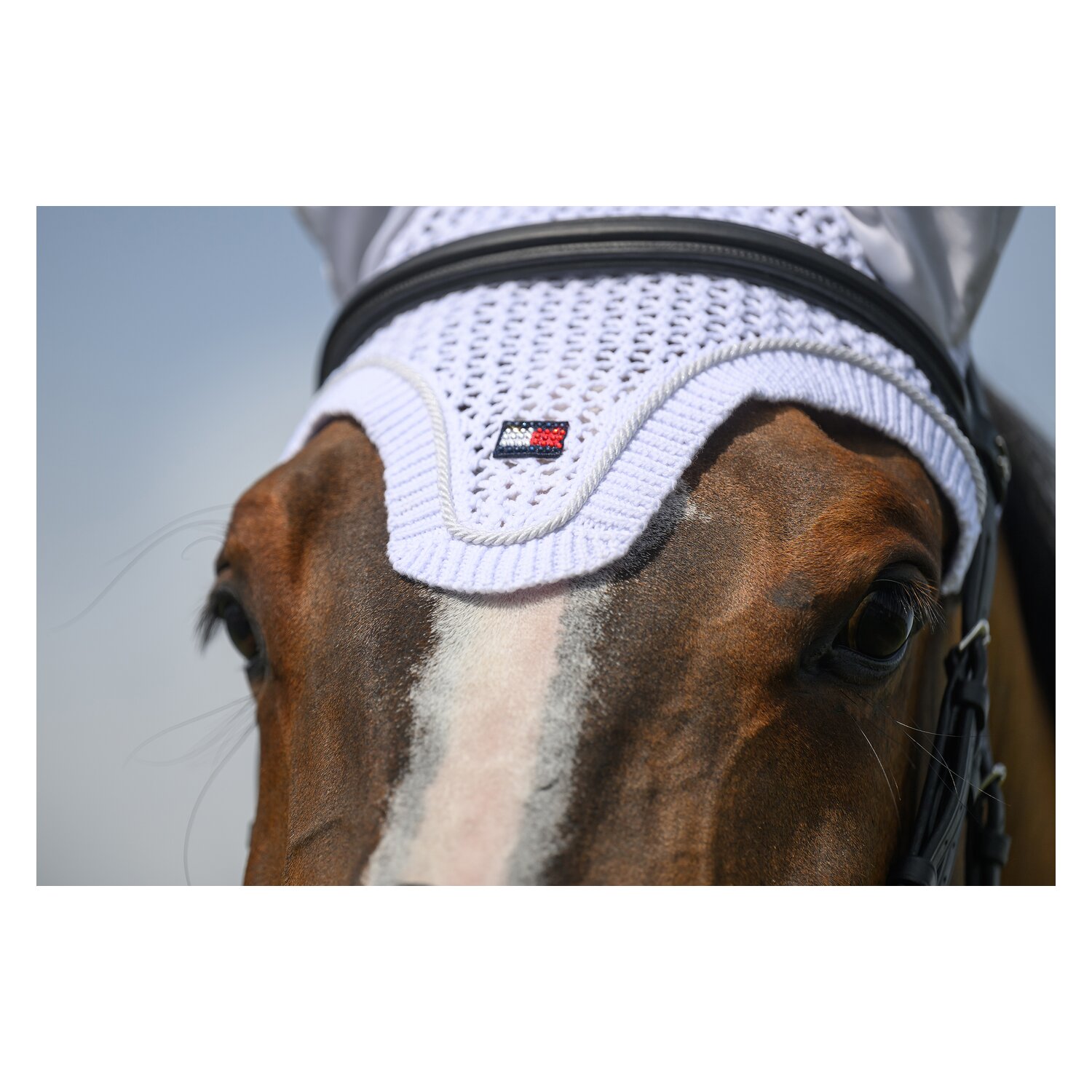 TOMMY HILFIGER EQUESTRIAN Fliegenhaube Liberty &ndash; Ansicht 5