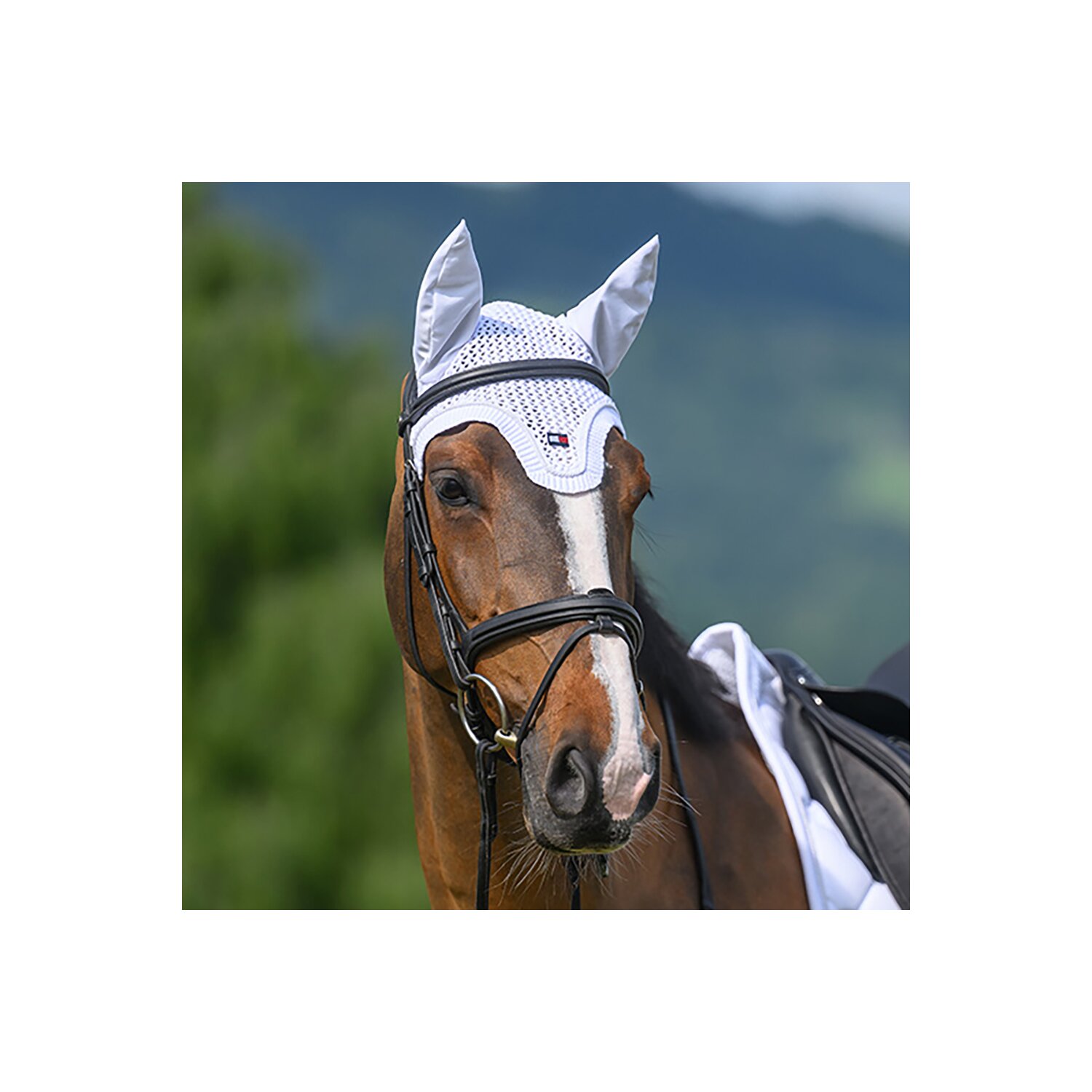 TOMMY HILFIGER EQUESTRIAN Fliegenhaube Liberty &ndash; Ansicht 1