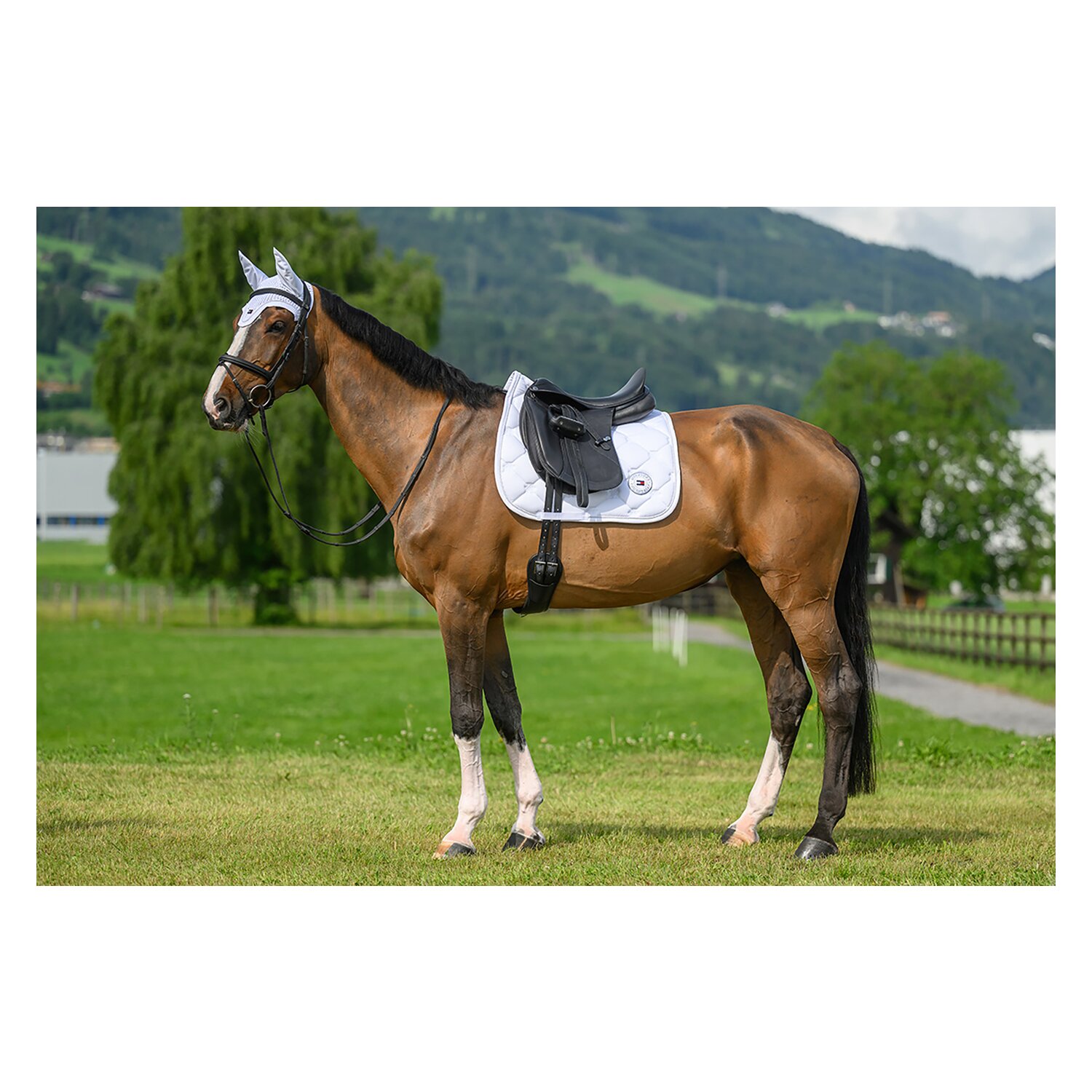 TOMMY HILFIGER EQUESTRIAN Dressurschabracke Liberty &ndash; Ansicht 2