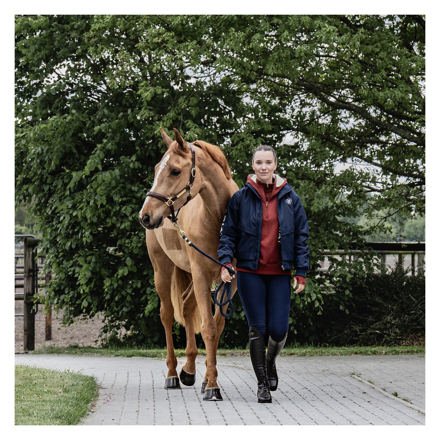 ARIAT Stable Jacket 2.0 – Ansicht 8