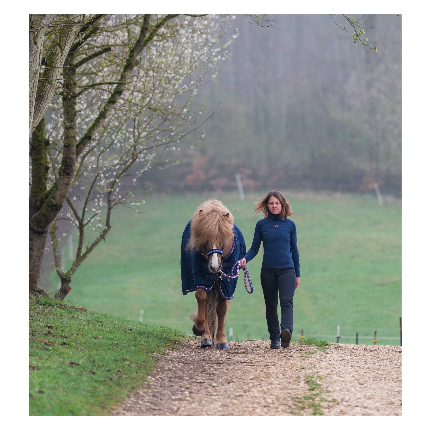 black forest Jodhpur-Reithose &ndash; Ansicht 5