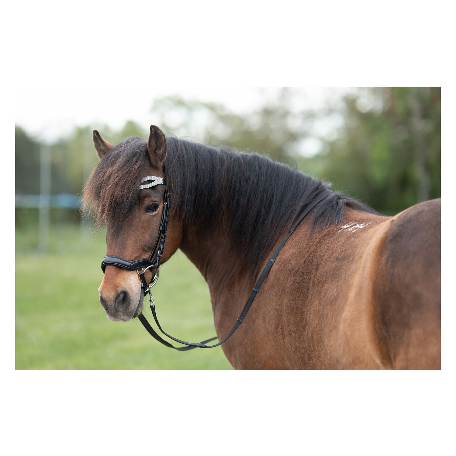 Horse-friends Anatomischer Nasenriemen Salford – Ansicht 2