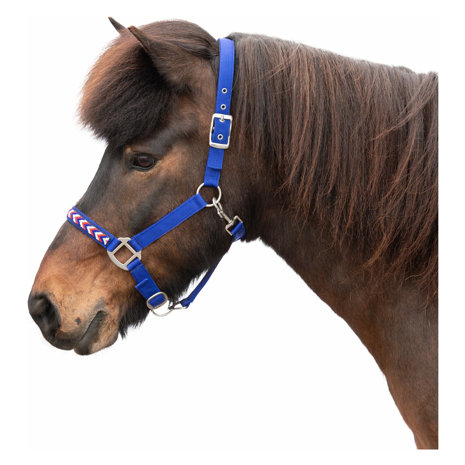 Horse-friends Island-Halfter Falkirk – Ansicht 1