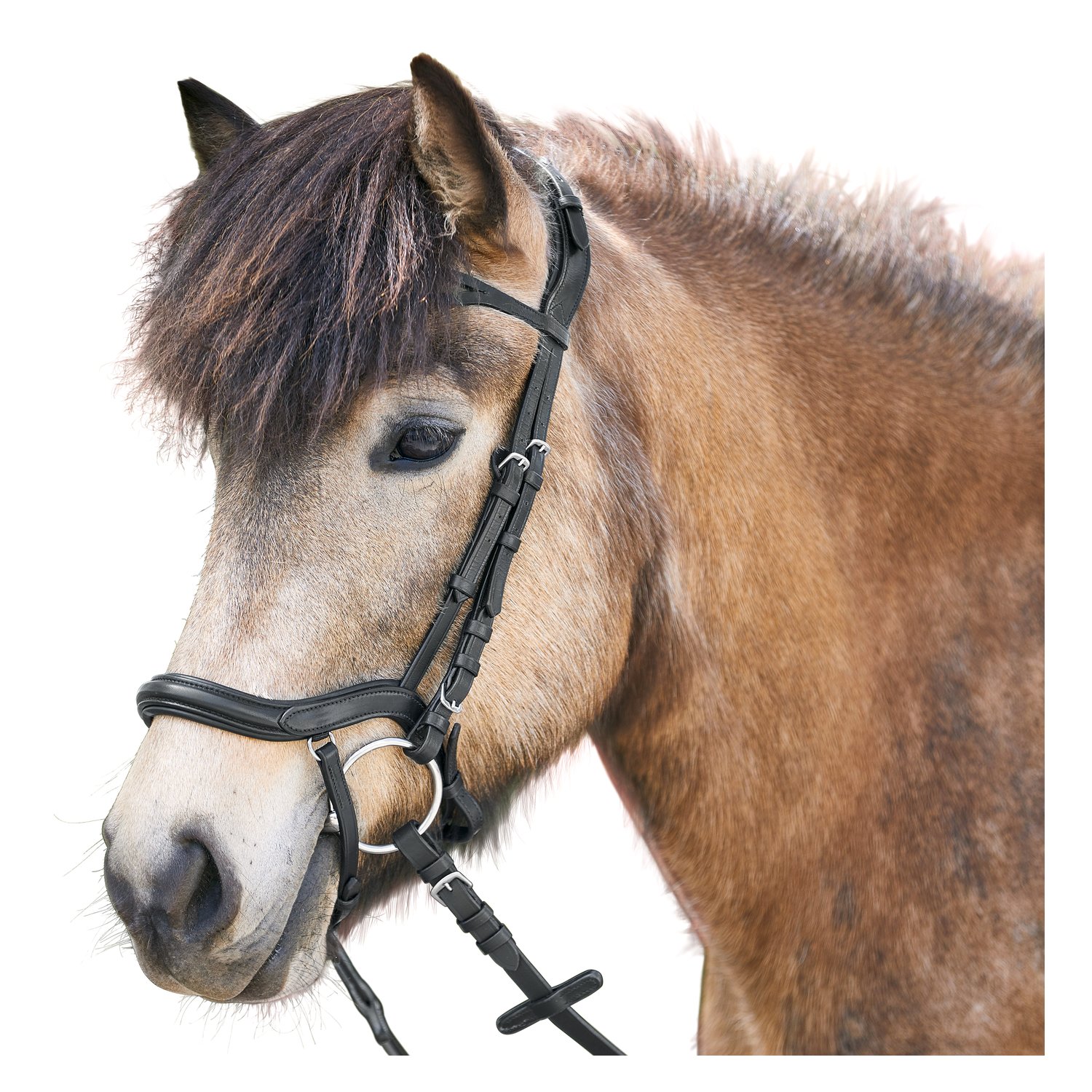 WALDHAUSEN Island Trensenzaum Anatomic – Ansicht 2