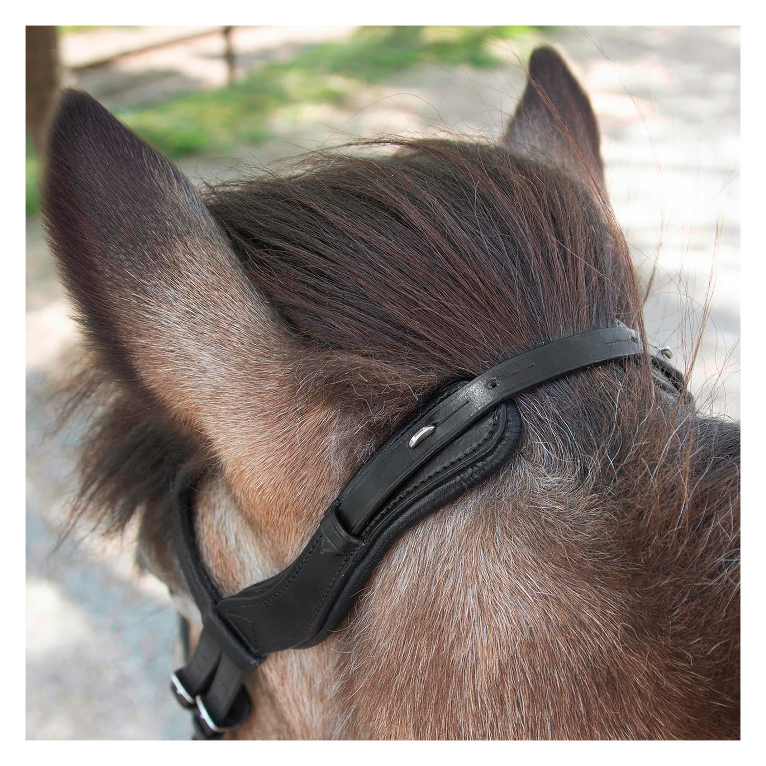 WALDHAUSEN Island Trensenzaum Anatomic – Ansicht 3