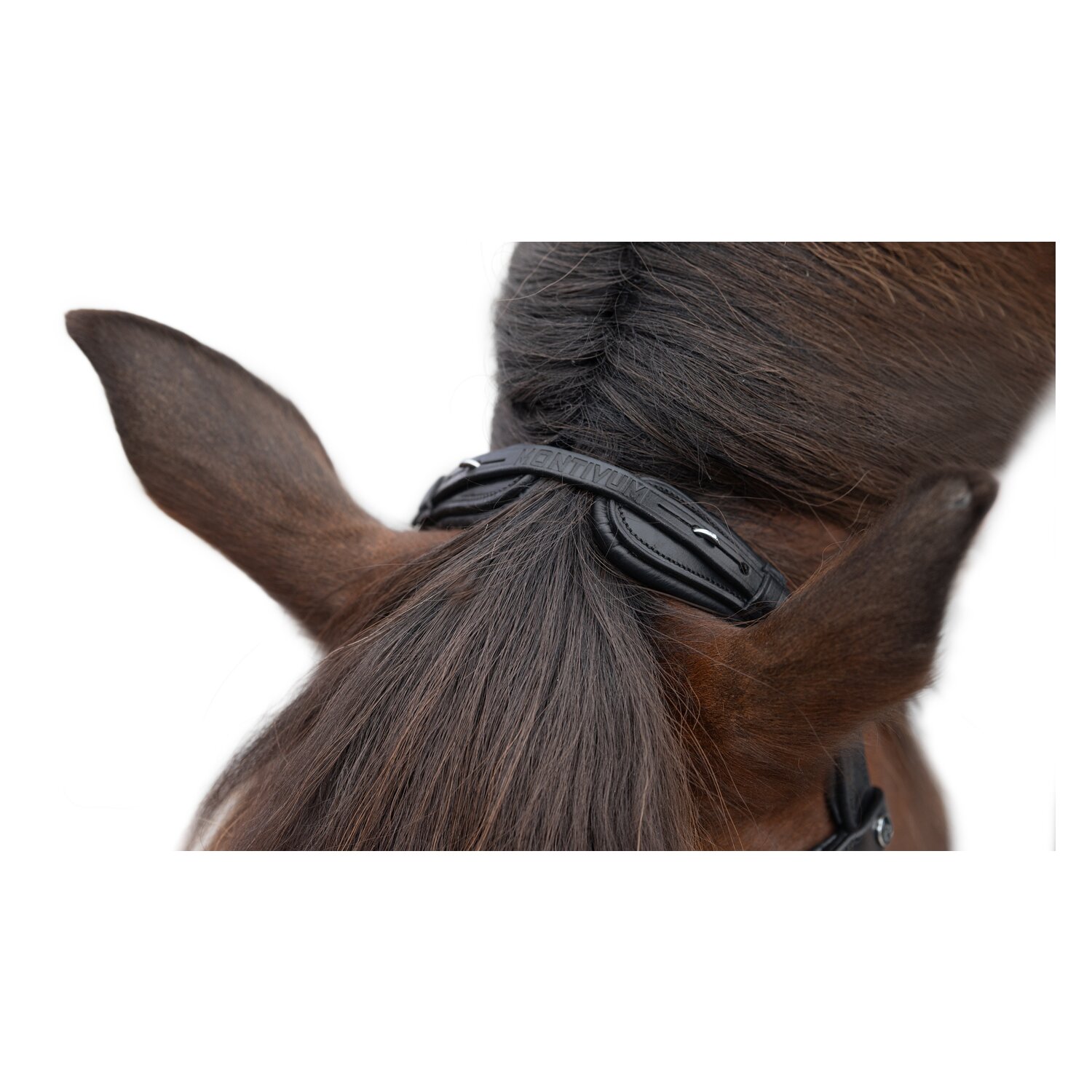 MONTIVUM Islandtrensenzaum Reykjavik – Ansicht 2