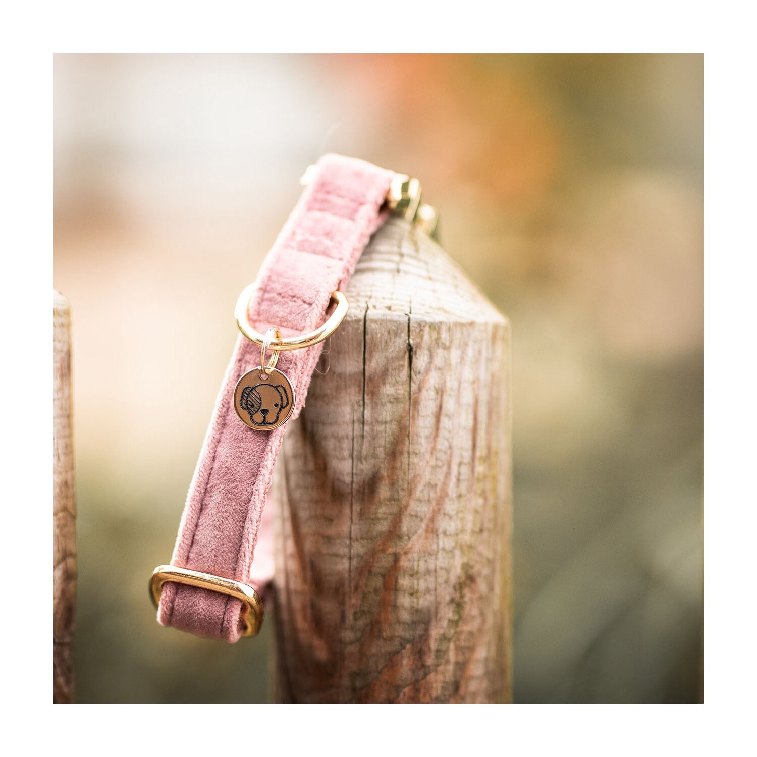 KENTUCKY DOGWEAR Hundehalsband Velvet – Ansicht 2