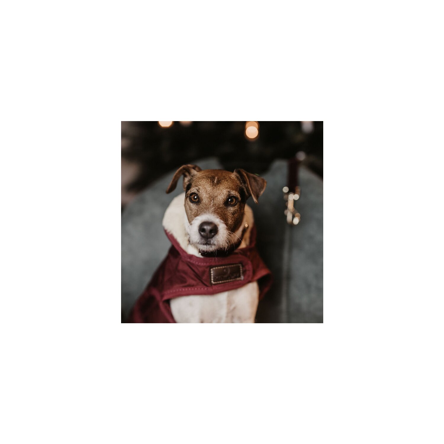 KENTUCKY DOGWEAR Hundemantel Original – Ansicht 2