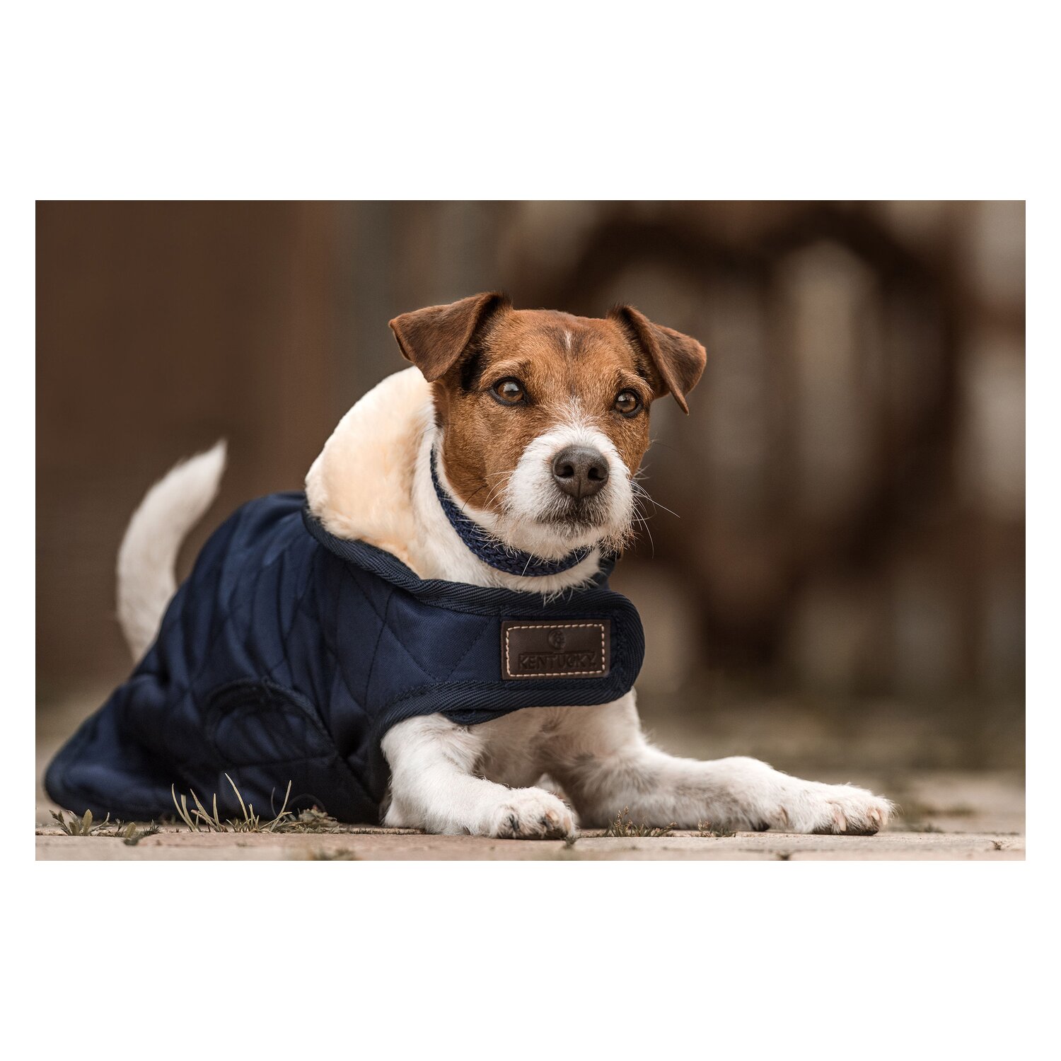 KENTUCKY DOGWEAR Hundemantel Original – Ansicht 2